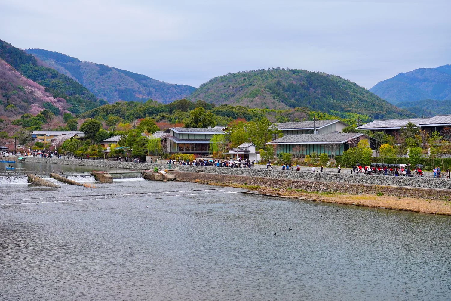【2025京都自由行】精選 3 條京都一日遊路線，交通美食全攻略! @混血珊莎的奇幻旅程