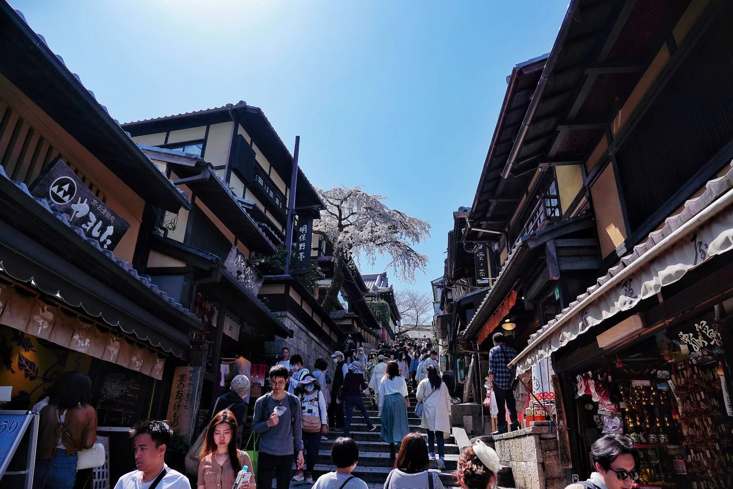 【2025京都自由行】精選 3 條京都一日遊路線，交通美食全攻略! @混血珊莎的奇幻旅程