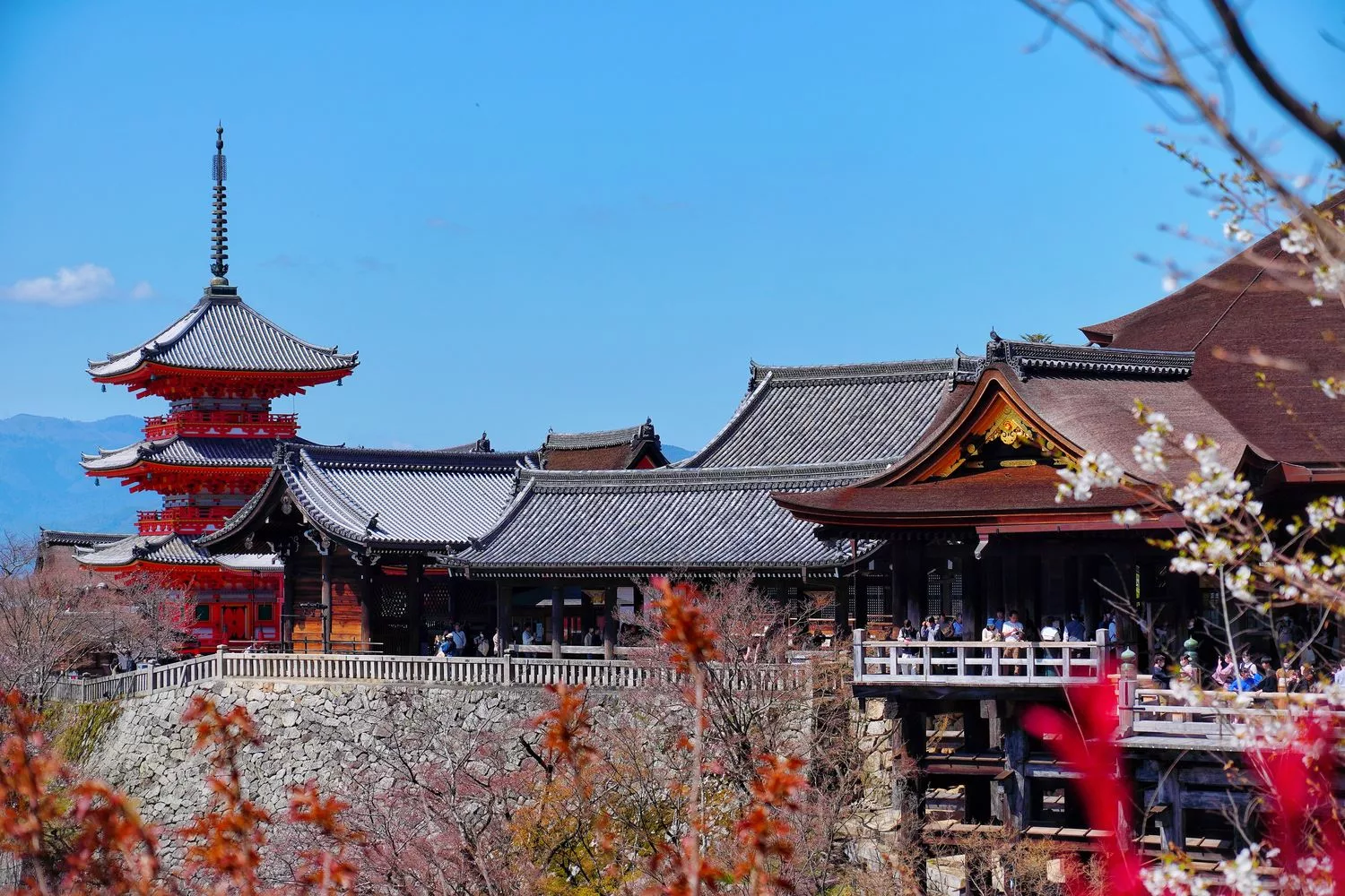 【2025京都自由行】精選 3 條京都一日遊路線，交通美食全攻略! @混血珊莎的奇幻旅程