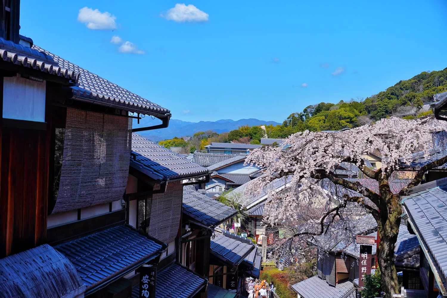 【2025京都自由行】精選 3 條京都一日遊路線，交通美食全攻略! @混血珊莎的奇幻旅程
