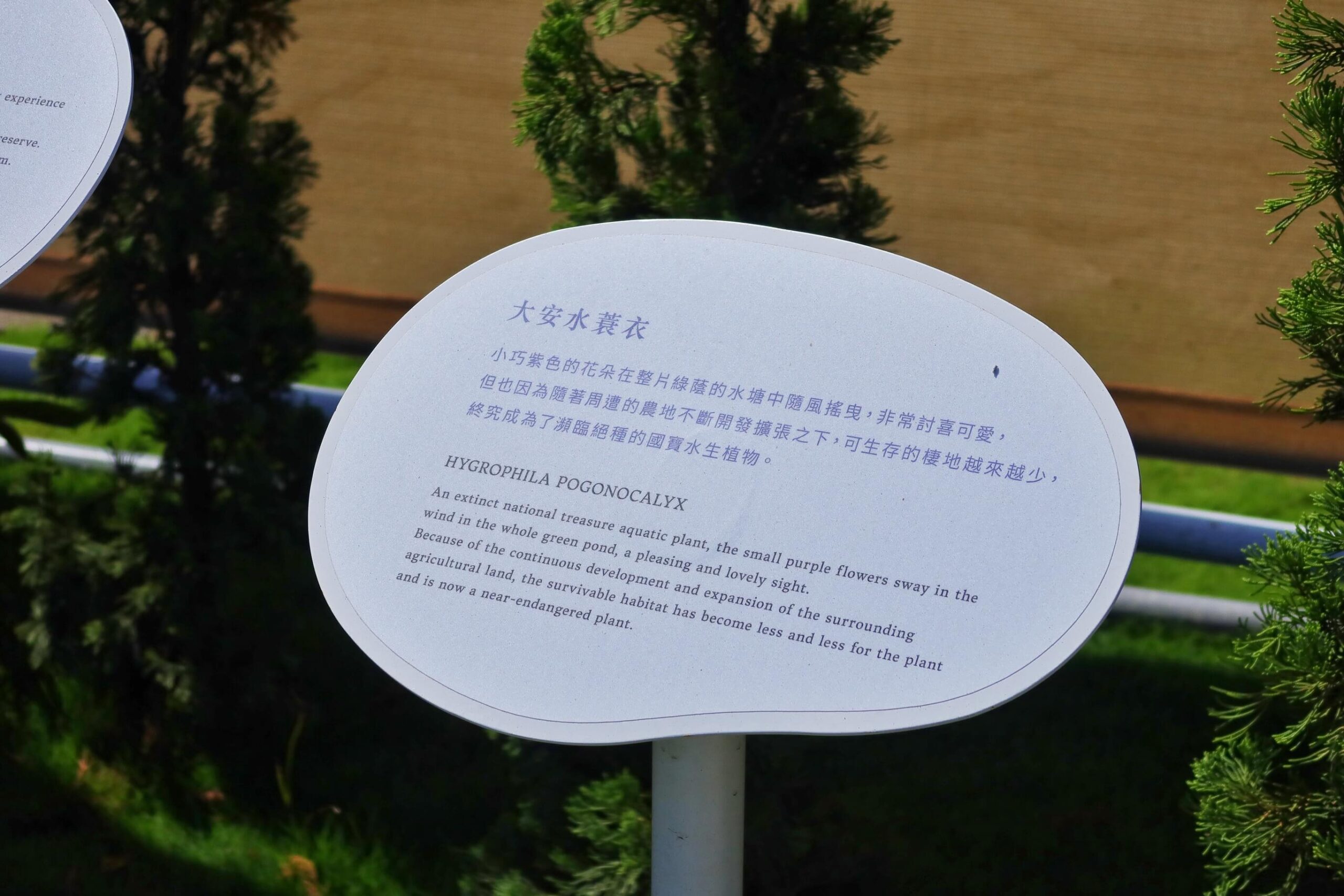 【台中懶人露營】蟬說 夕陽漫漫,新開幕高美濕地海濱露營,用餐飽覽絕美夕陽景觀,一泊二食免裝備,螃蟹帳蓬可愛到炸! @混血珊莎的奇幻旅程 【台中懶人露營】蟬說 夕陽漫漫,新開幕高美濕地海濱露營,用餐飽覽絕美夕陽景觀,一泊二食免裝備,螃蟹帳蓬可愛到炸! @混血珊莎的奇幻旅程