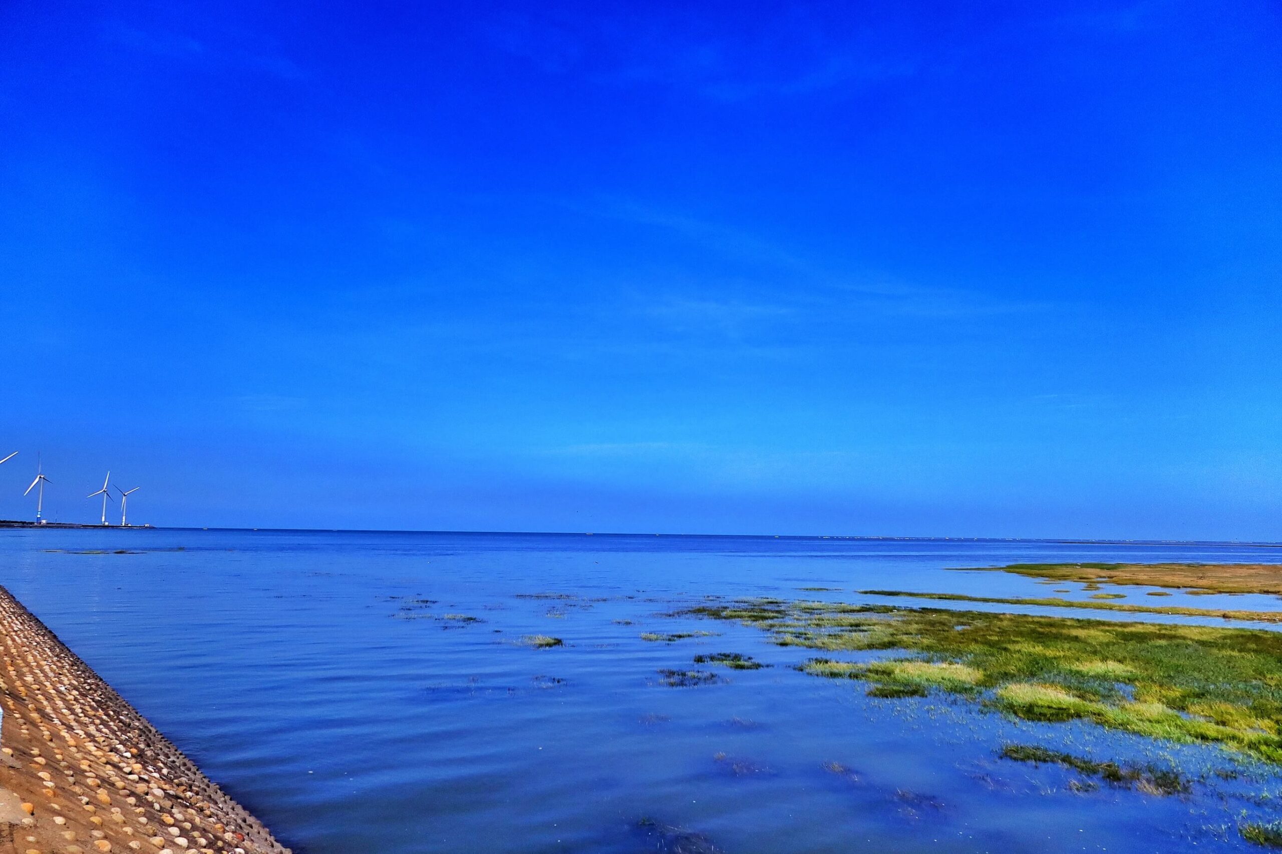 【台中懶人露營】蟬說 夕陽漫漫,新開幕高美濕地海濱露營,用餐飽覽絕美夕陽景觀,一泊二食免裝備,螃蟹帳蓬可愛到炸! @混血珊莎的奇幻旅程 【台中懶人露營】蟬說 夕陽漫漫,新開幕高美濕地海濱露營,用餐飽覽絕美夕陽景觀,一泊二食免裝備,螃蟹帳蓬可愛到炸! @混血珊莎的奇幻旅程
