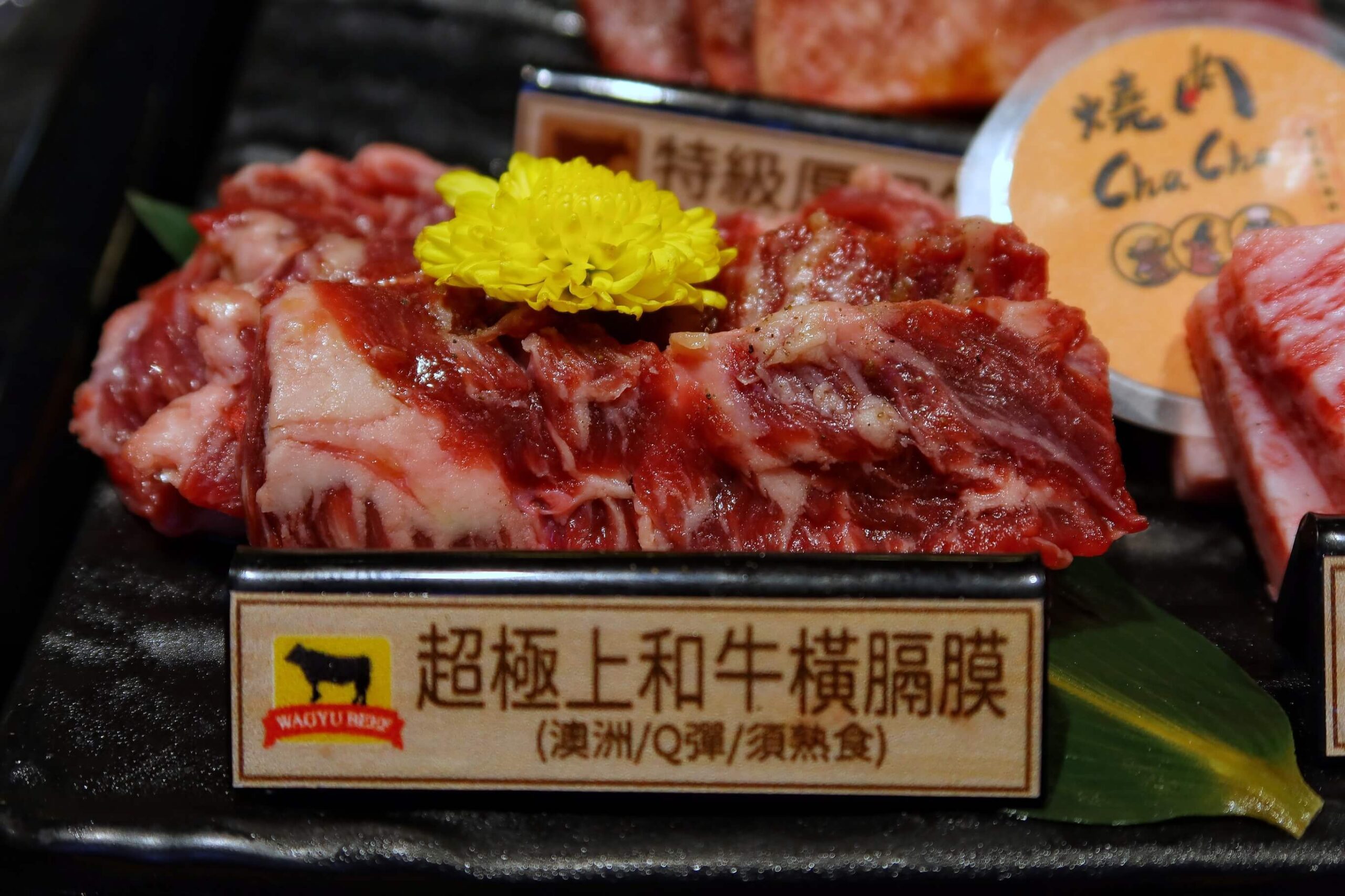 燒肉ChaCha個人和牛燒肉│套餐390元起自助吧無限享用! @混血珊莎的奇幻旅程