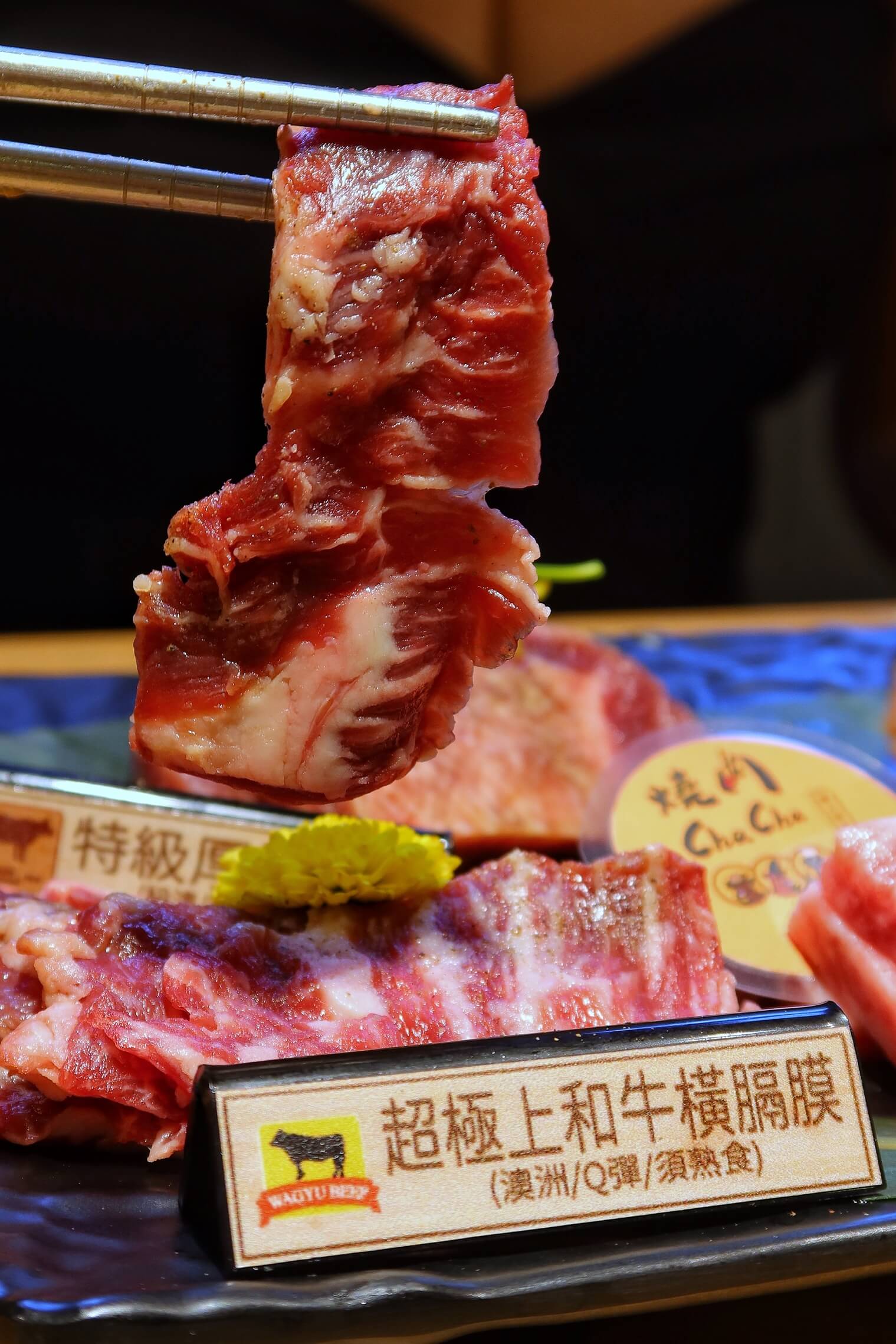 燒肉ChaCha個人和牛燒肉│套餐390元起自助吧無限享用! @混血珊莎的奇幻旅程