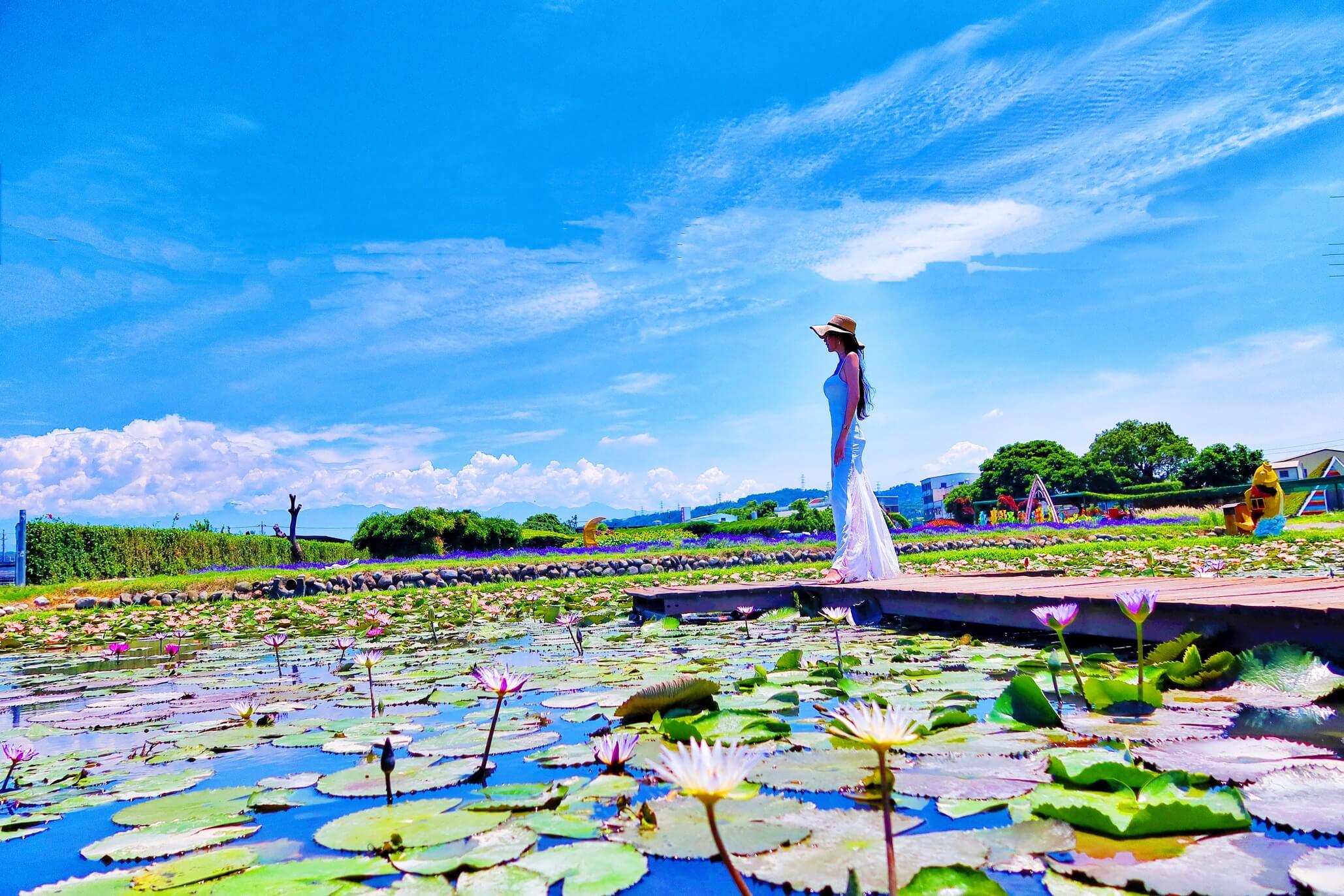 【后里景點】中社觀光花市花海，一年四季都能賞花，必拍超萌波波球! @混血珊莎的奇幻旅程