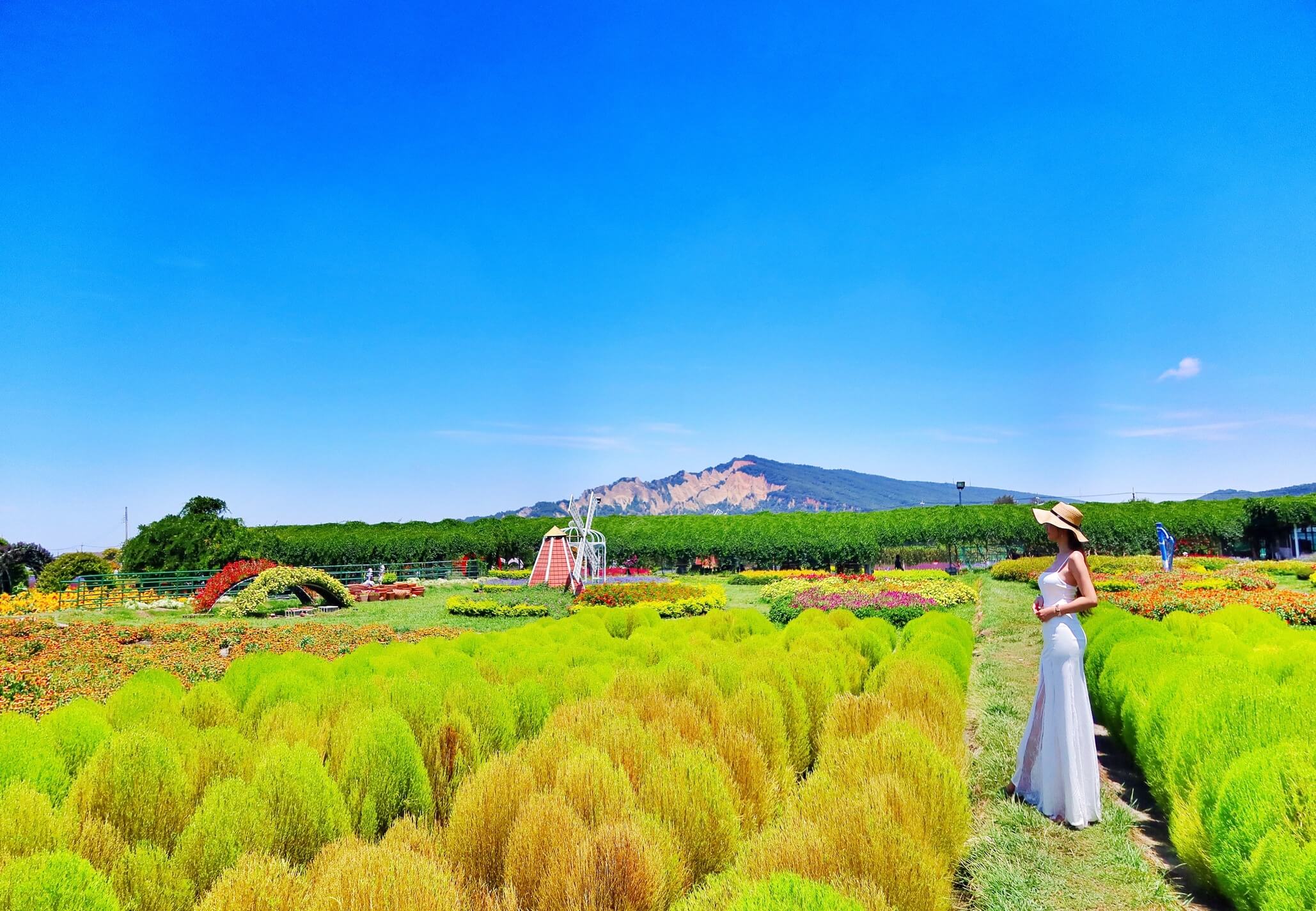 【后里景點】中社觀光花市花海，一年四季都能賞花，必拍超萌波波球! @混血珊莎的奇幻旅程