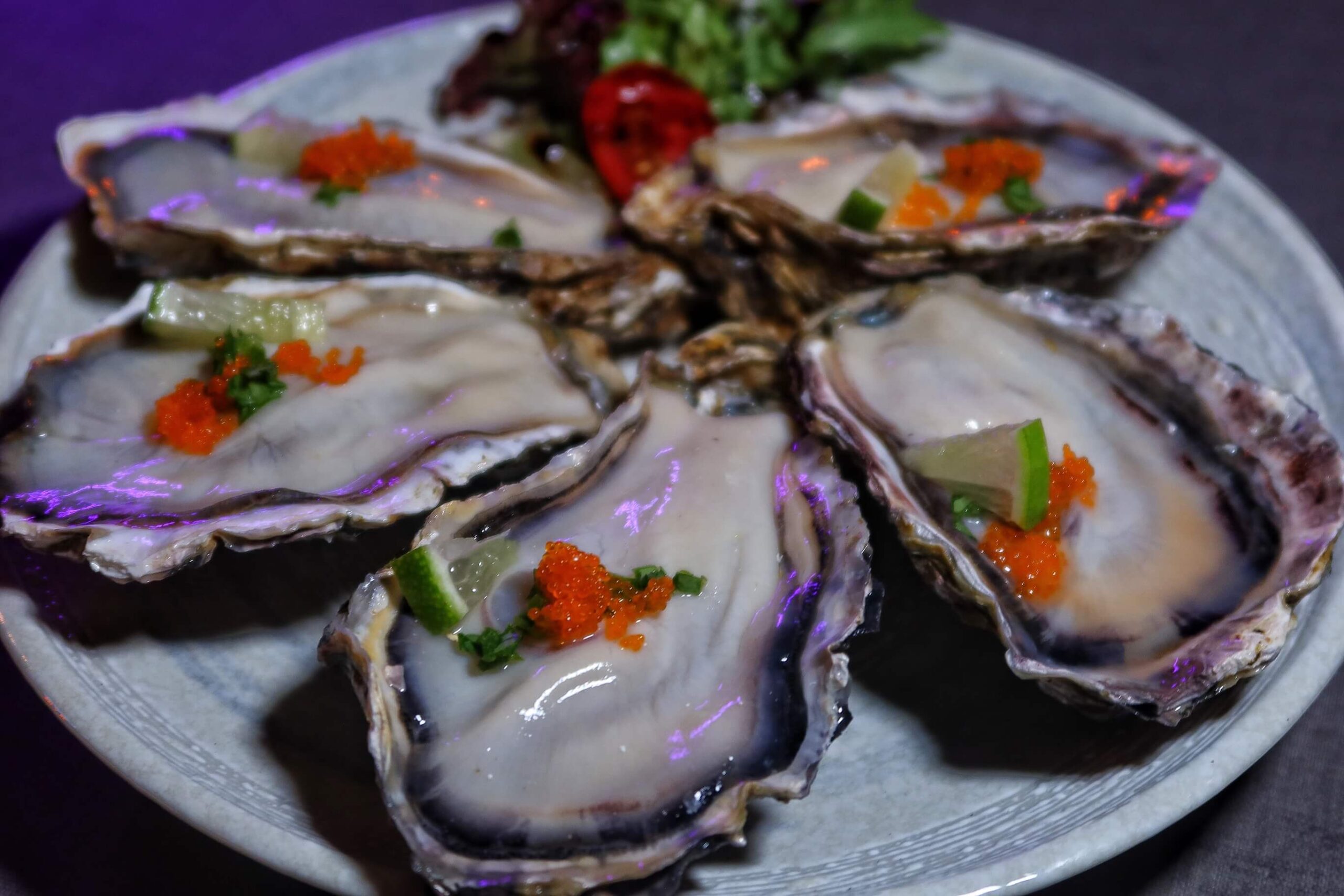 【西門餐酒館】解鎖餐酒館 JaySoul│隱身在雜貨店內的神祕酒吧 從餐點到調酒都令人驚艷 喝酒一定要來這! @混血珊莎的奇幻旅程