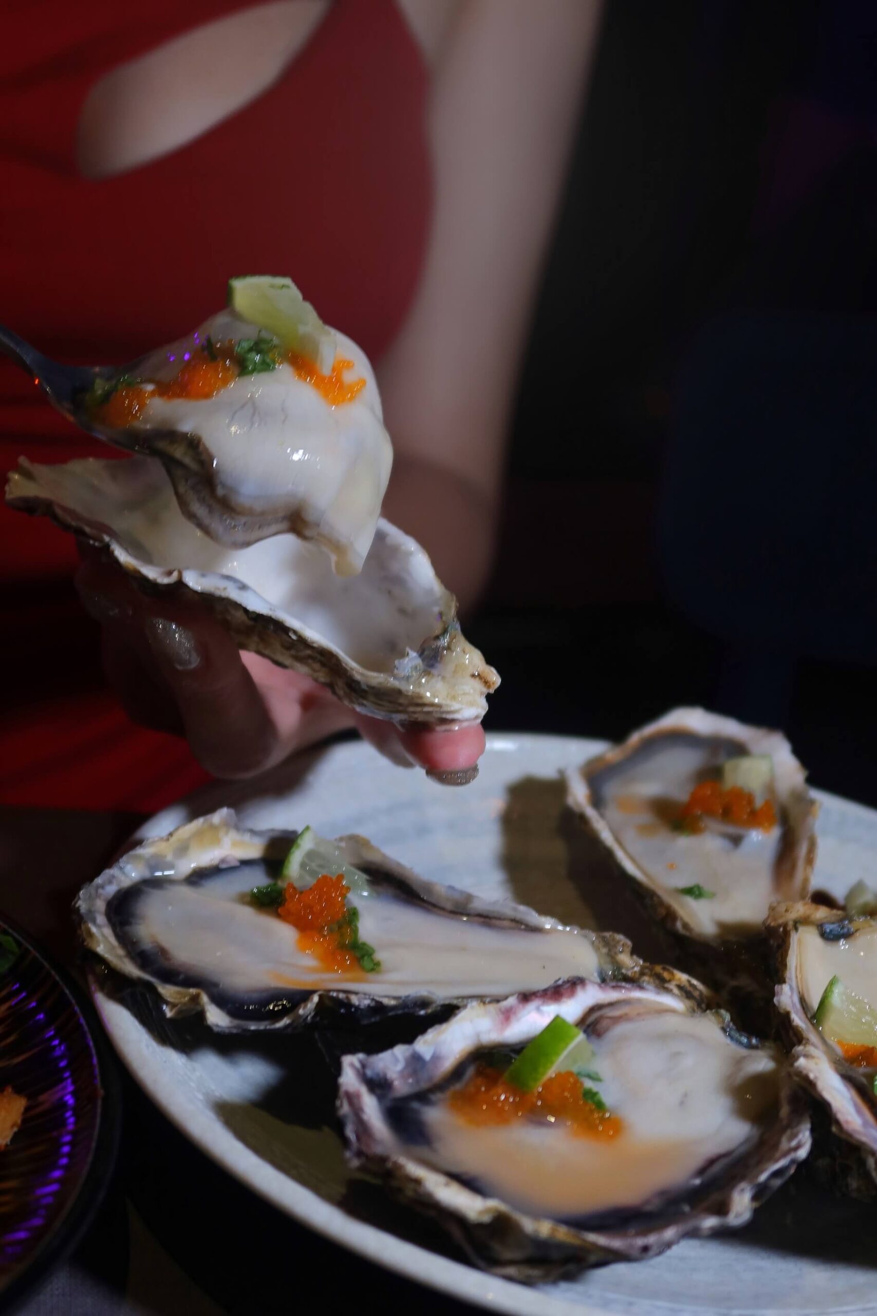 【西門餐酒館】解鎖餐酒館 JaySoul│隱身在雜貨店內的神祕酒吧 從餐點到調酒都令人驚艷 喝酒一定要來這! @混血珊莎的奇幻旅程