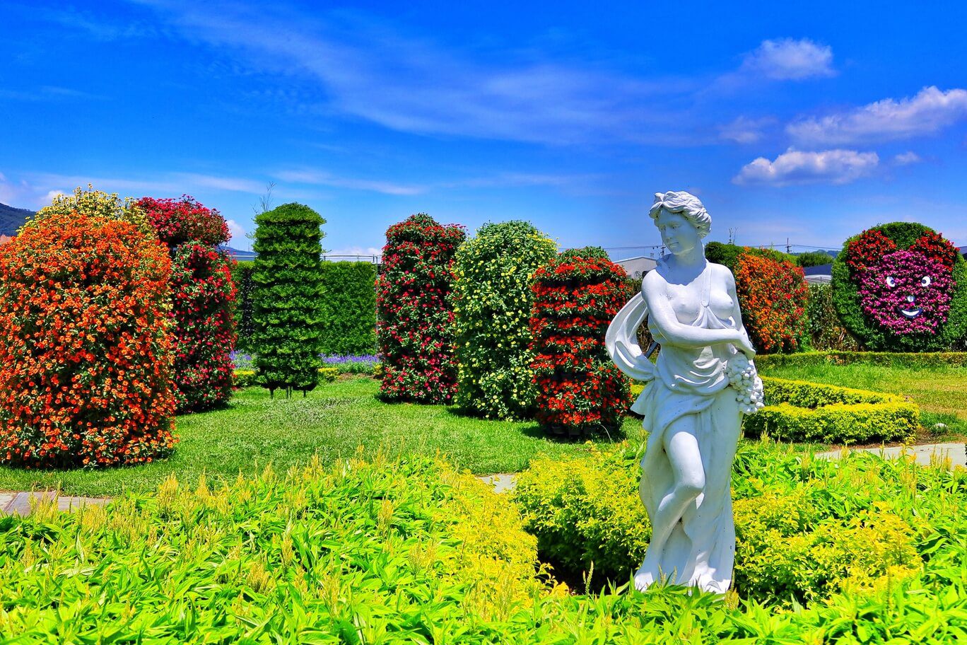 【后里景點】中社觀光花市花海，一年四季都能賞花，必拍超萌波波球! @混血珊莎的奇幻旅程
