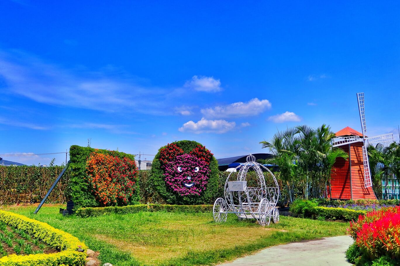 【后里景點】中社觀光花市花海，一年四季都能賞花，必拍超萌波波球! @混血珊莎的奇幻旅程