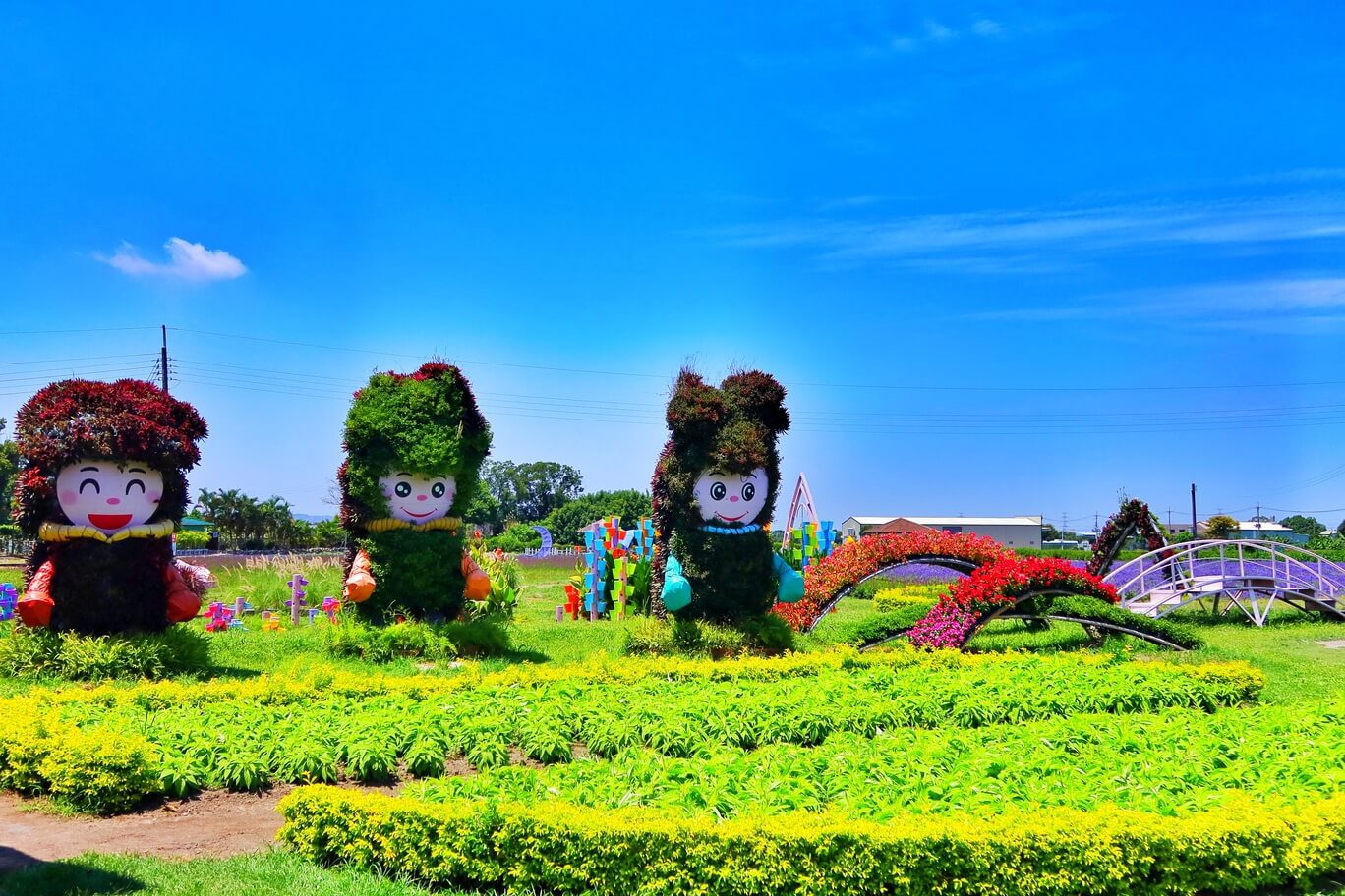 【后里景點】中社觀光花市花海，一年四季都能賞花，必拍超萌波波球! @混血珊莎的奇幻旅程