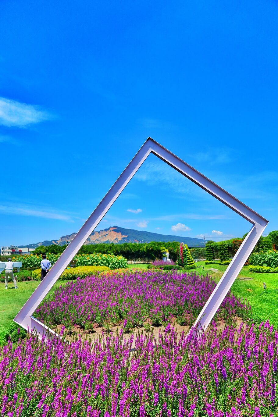 【后里景點】中社觀光花市花海，一年四季都能賞花，必拍超萌波波球! @混血珊莎的奇幻旅程