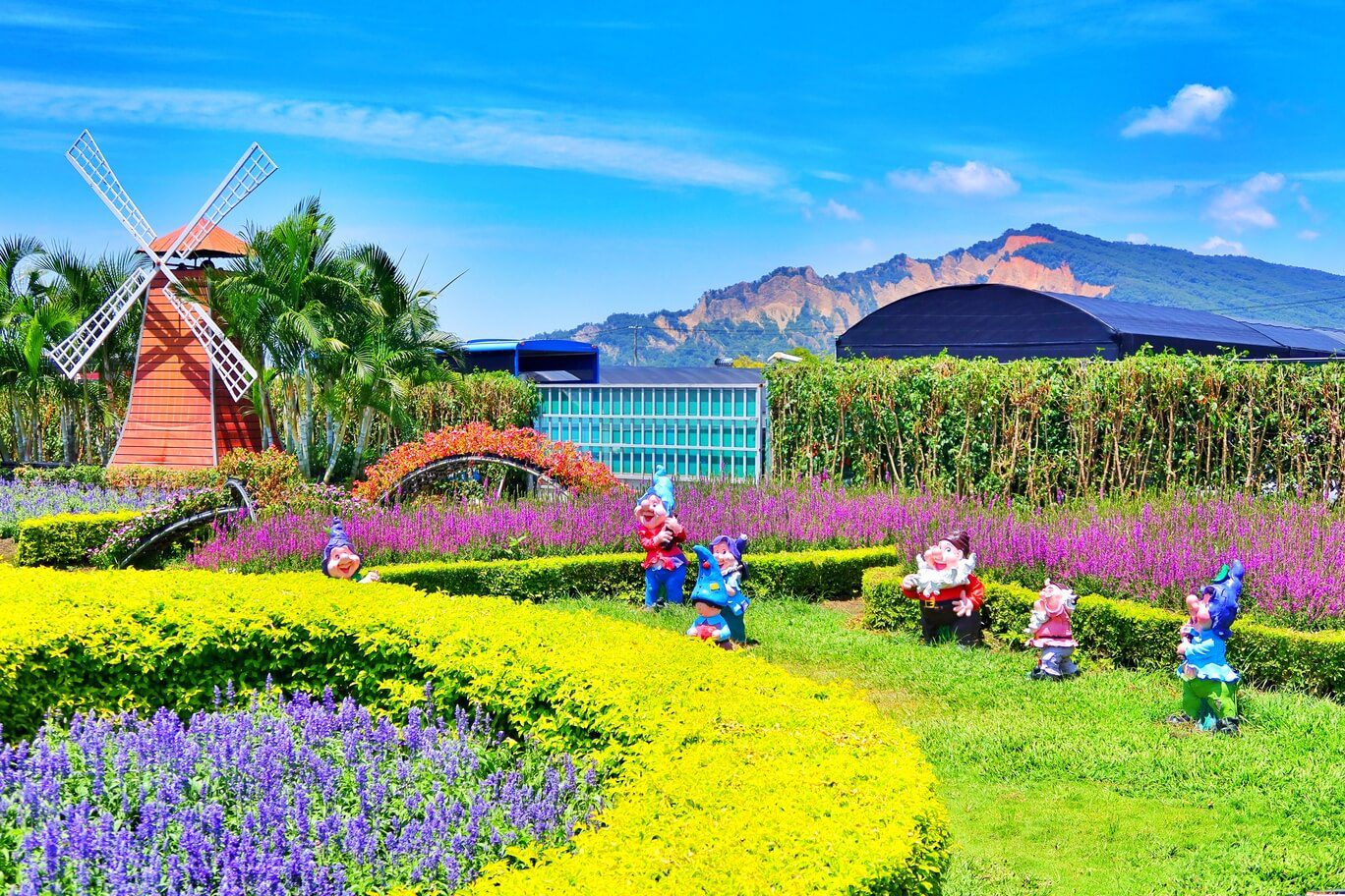 【后里景點】中社觀光花市花海，一年四季都能賞花，必拍超萌波波球! @混血珊莎的奇幻旅程