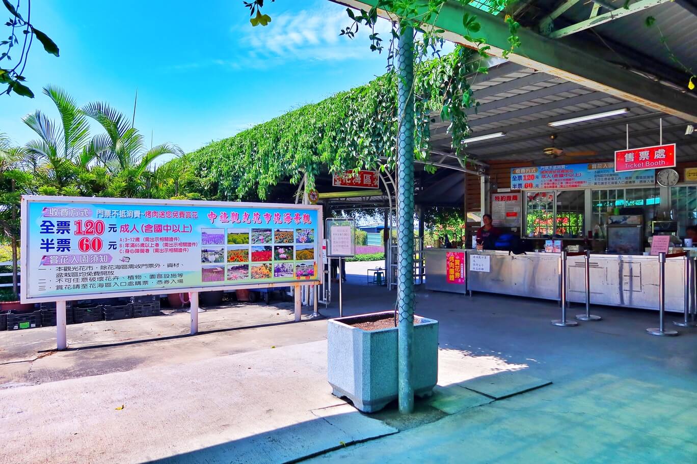 【后里景點】中社觀光花市花海，一年四季都能賞花，必拍超萌波波球! @混血珊莎的奇幻旅程