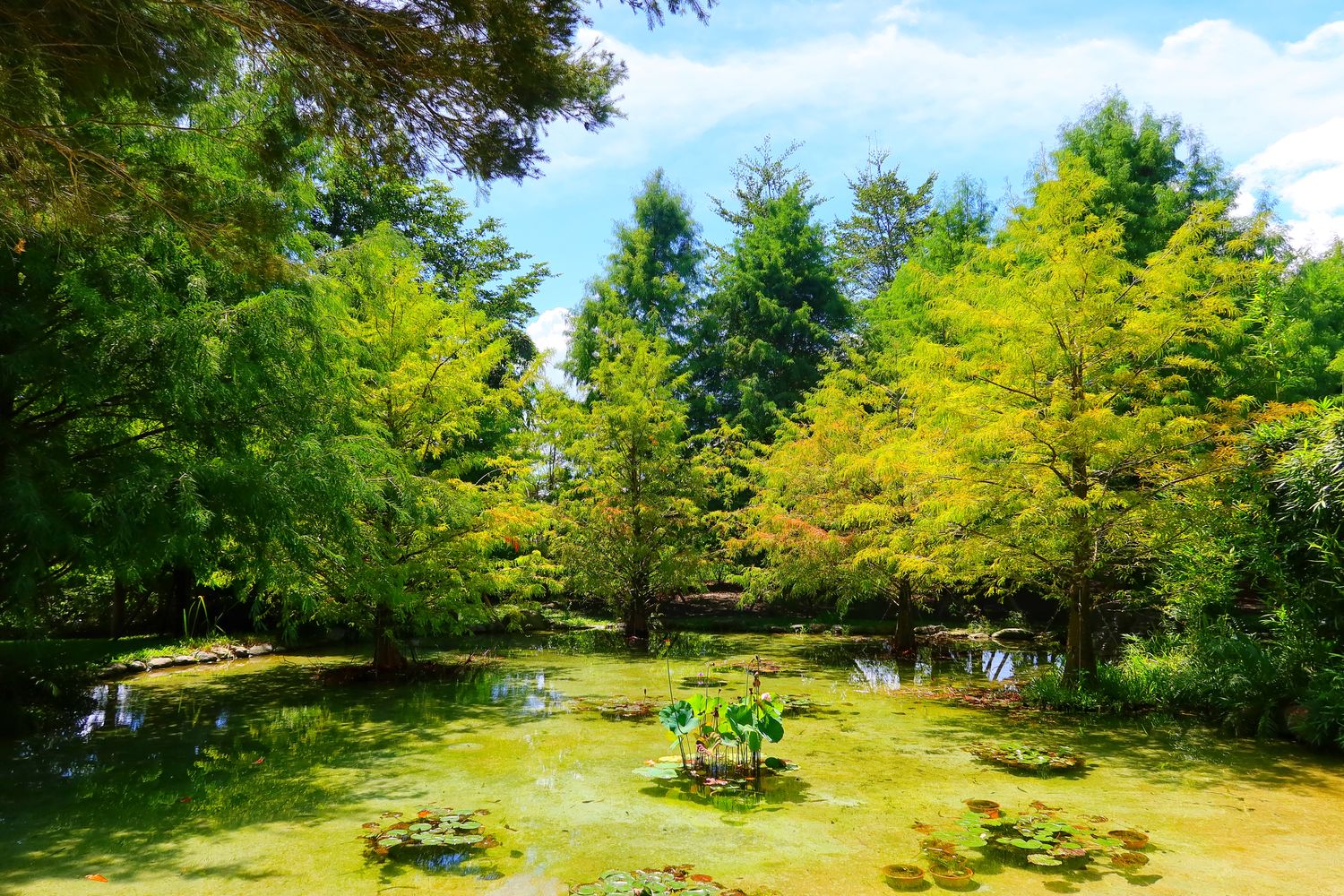 【秧悅美地】花蓮秧悅美地度假酒店，峇里島風格露天泳池超chill，此生必住星級飯店! @混血珊莎的奇幻旅程