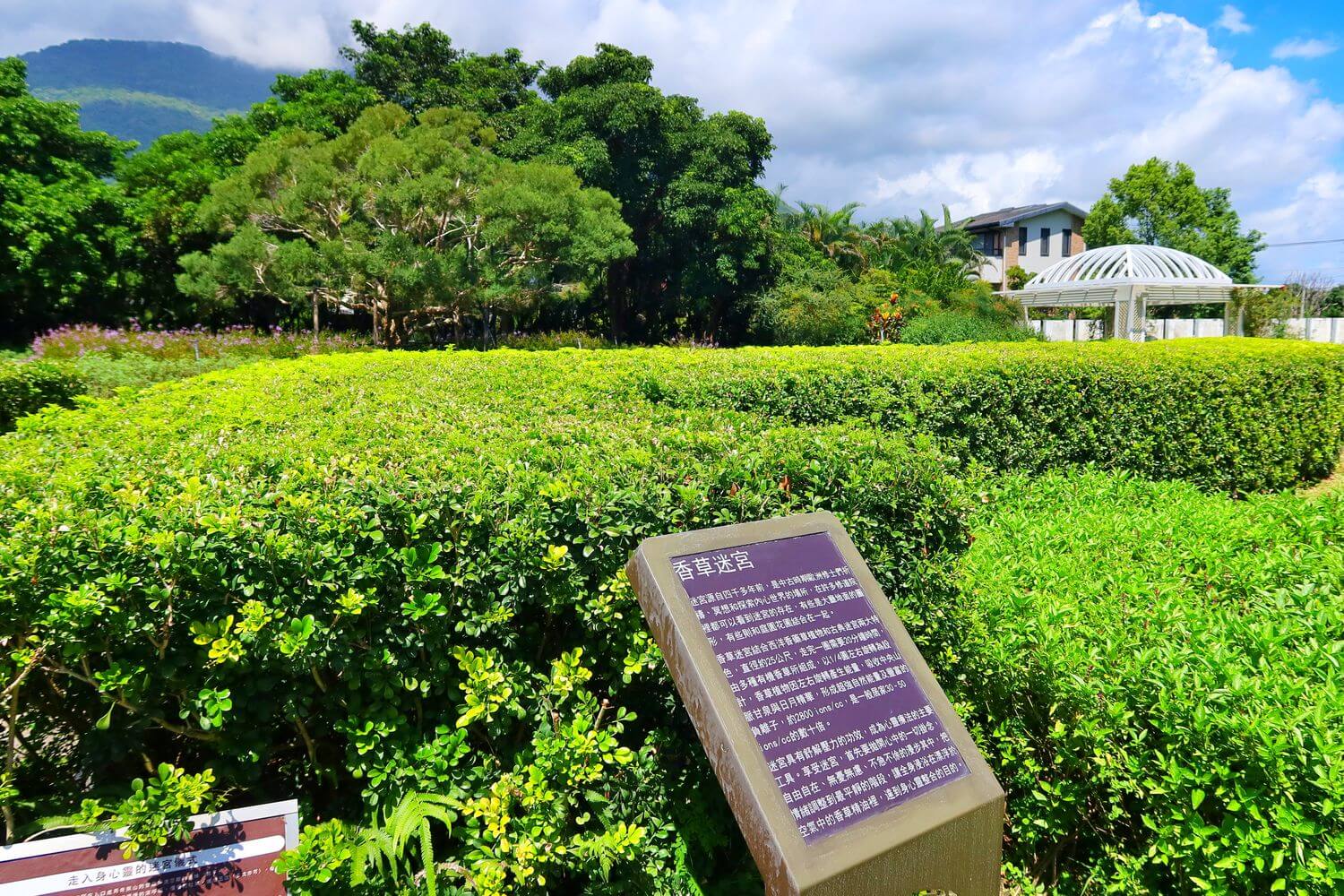 【秧悅美地】花蓮秧悅美地度假酒店，峇里島風格露天泳池超chill，此生必住星級飯店! @混血珊莎的奇幻旅程