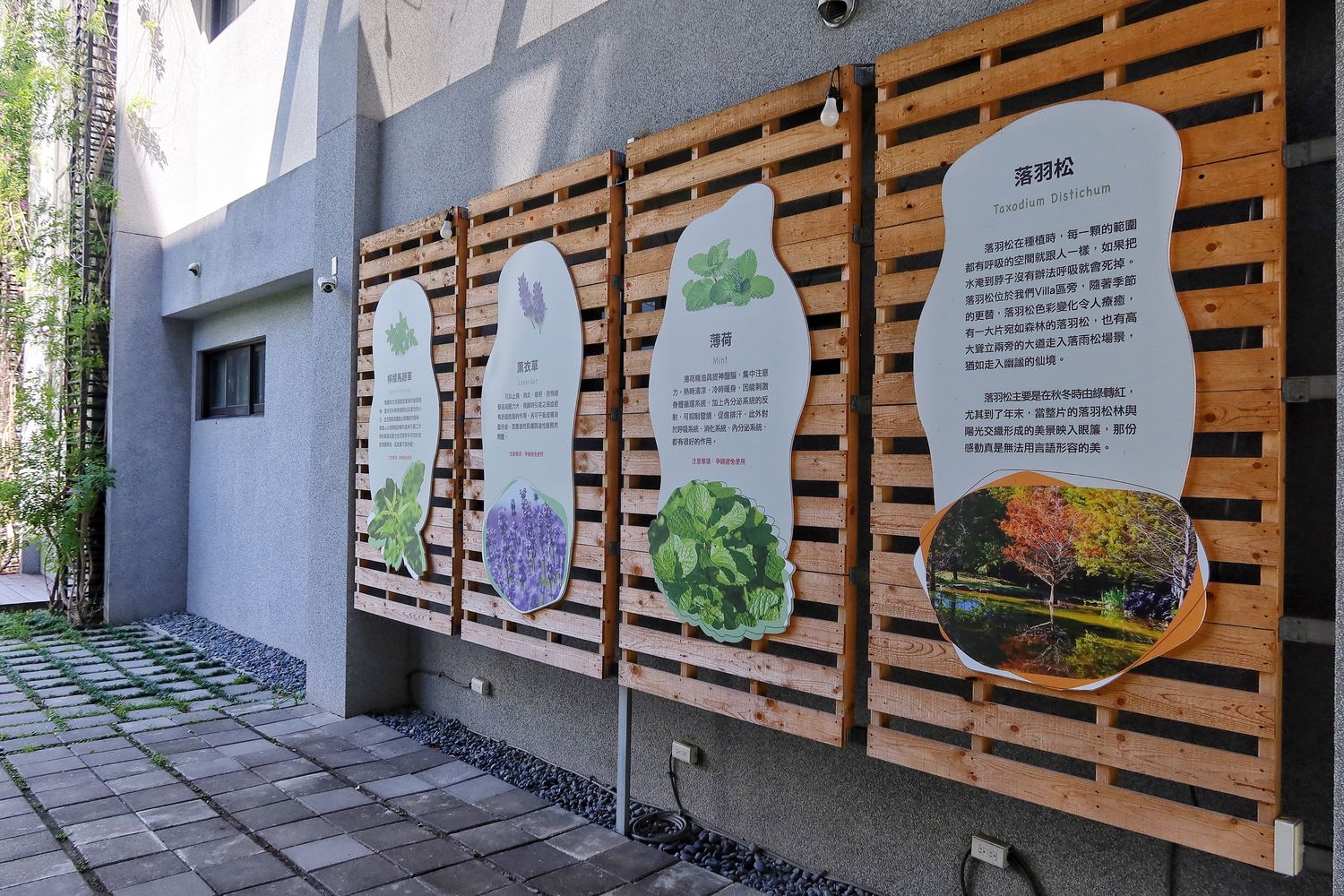 【秧悅美地】花蓮秧悅美地度假酒店，峇里島風格露天泳池超chill，此生必住星級飯店! @混血珊莎的奇幻旅程