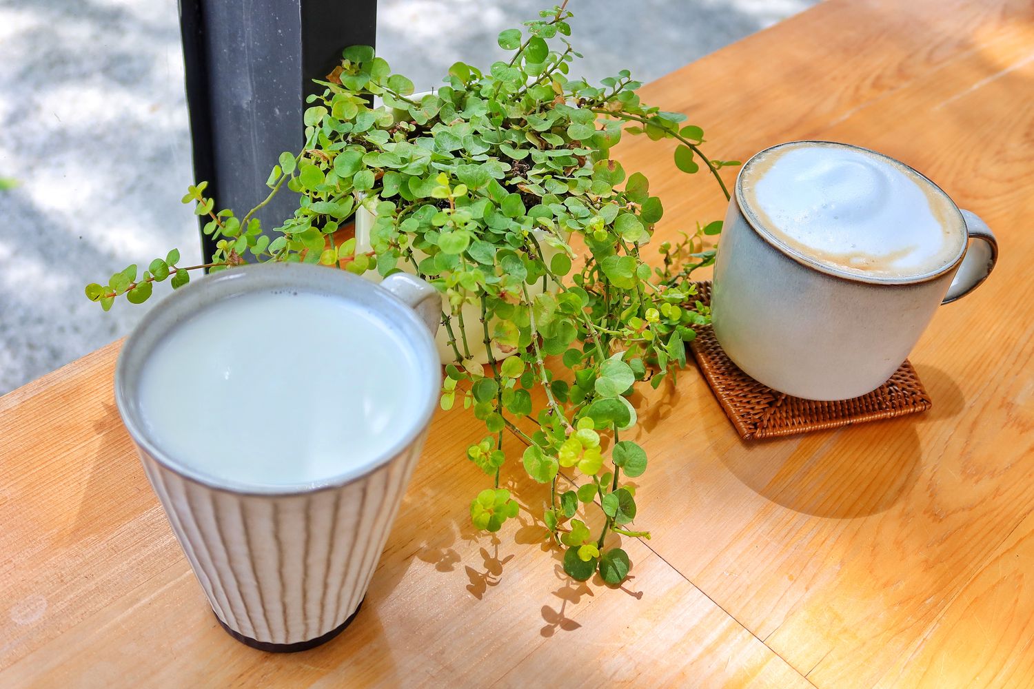 【壽豐早午餐】黑屋 cafe 透明玻璃屋，鯉魚潭河景第一排，享受湖邊悠閒時光! @混血珊莎的奇幻旅程