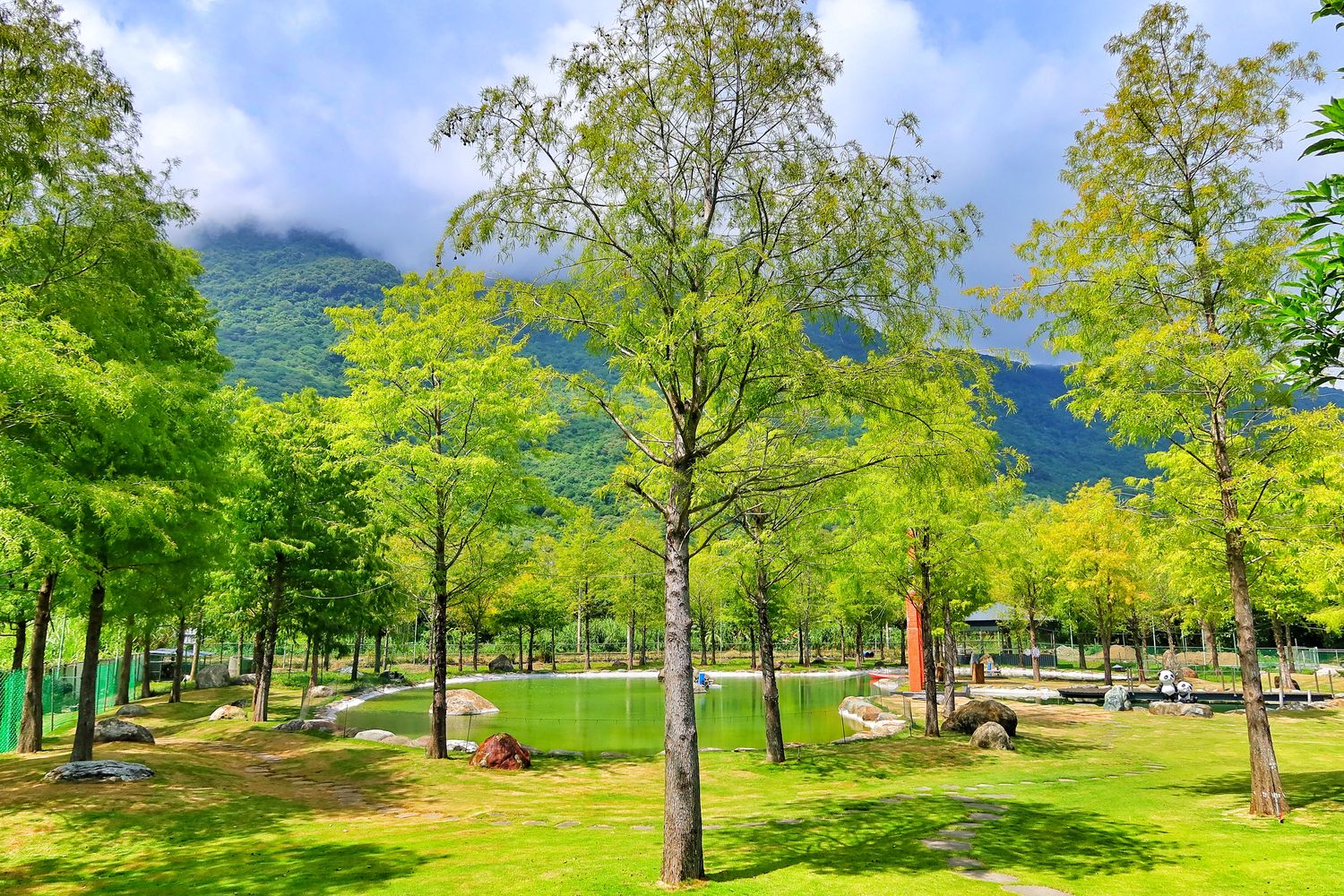 【花蓮合菜】花蓮洄瀾灣景觀餐廳，隱藏版 4000 坪秘境花園，還有水豚君.梅花鹿，萌翻天! @混血珊莎的奇幻旅程