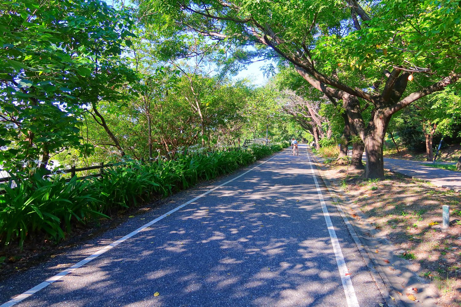 【花蓮東大門住宿】Kadda Hotel 璽賓行旅，日出海景盡收眼底，水天一色無邊際泳池! @混血珊莎的奇幻旅程