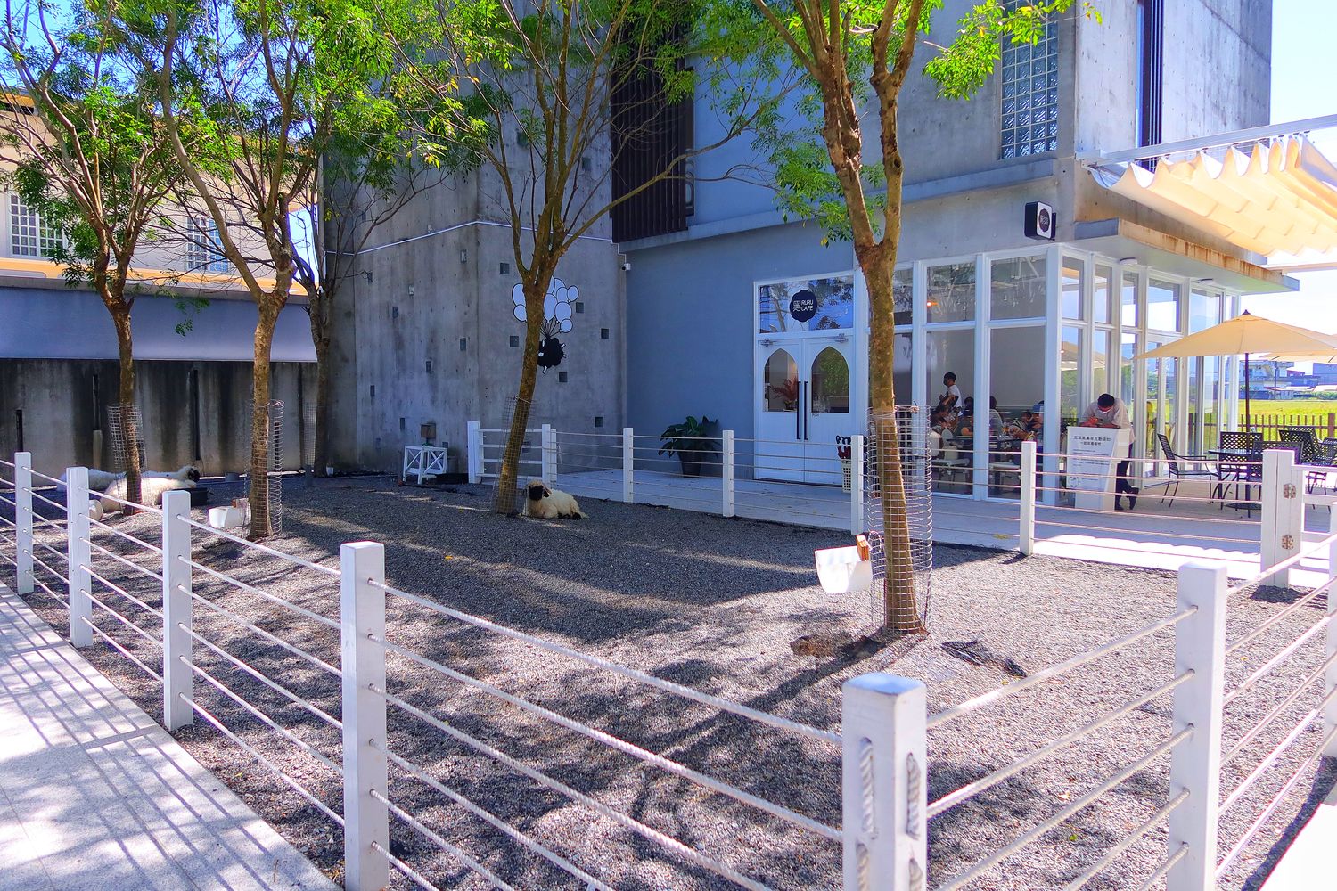 【黑RURU CAFE】笑笑羊&#038;熊貓羊咖啡廳，互動餵食萌翻天，完整 2024 菜單餐點交通介紹! @混血珊莎的奇幻旅程
