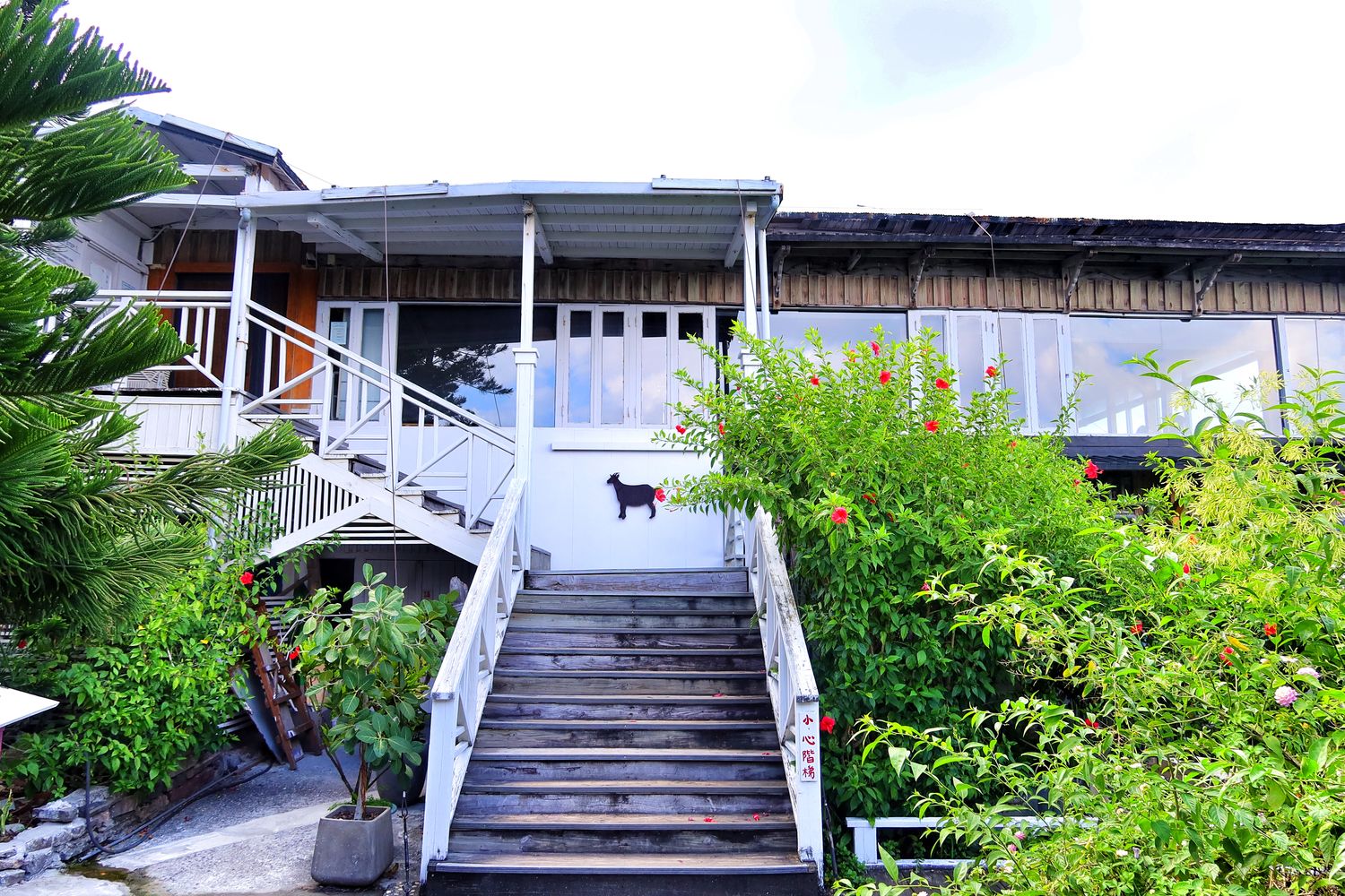 【花蓮原野牧場】在地人激推超夯海景咖啡廳，秘徑小道通往七星潭美景 @混血珊莎的奇幻旅程