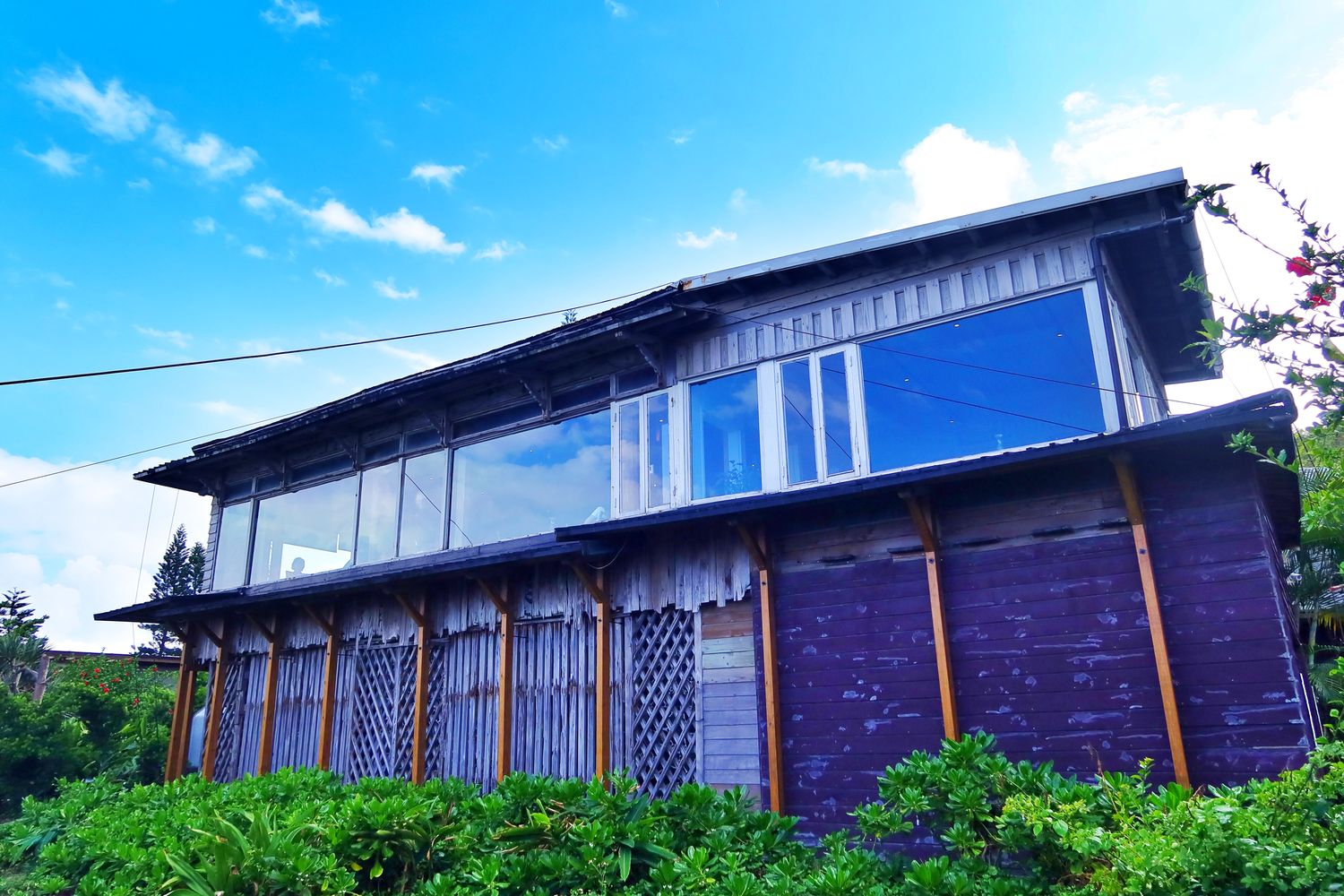 【花蓮原野牧場】在地人激推超夯海景咖啡廳，秘徑小道通往七星潭美景 @混血珊莎的奇幻旅程