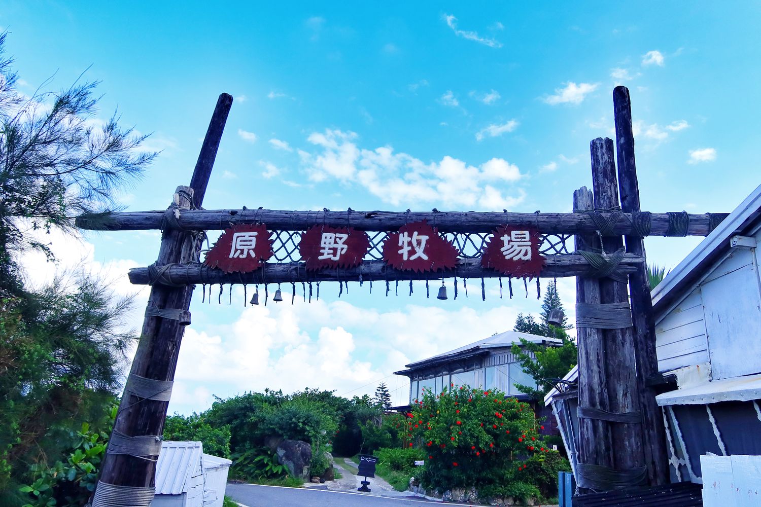 【花蓮原野牧場】在地人激推超夯海景咖啡廳，秘徑小道通往七星潭美景 @混血珊莎的奇幻旅程