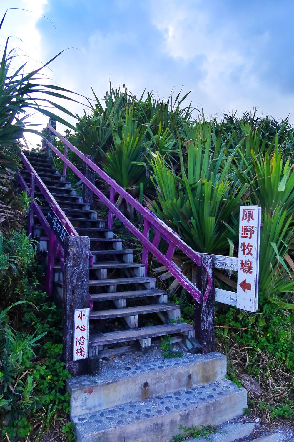 【花蓮原野牧場】在地人激推超夯海景咖啡廳，秘徑小道通往七星潭美景 @混血珊莎的奇幻旅程