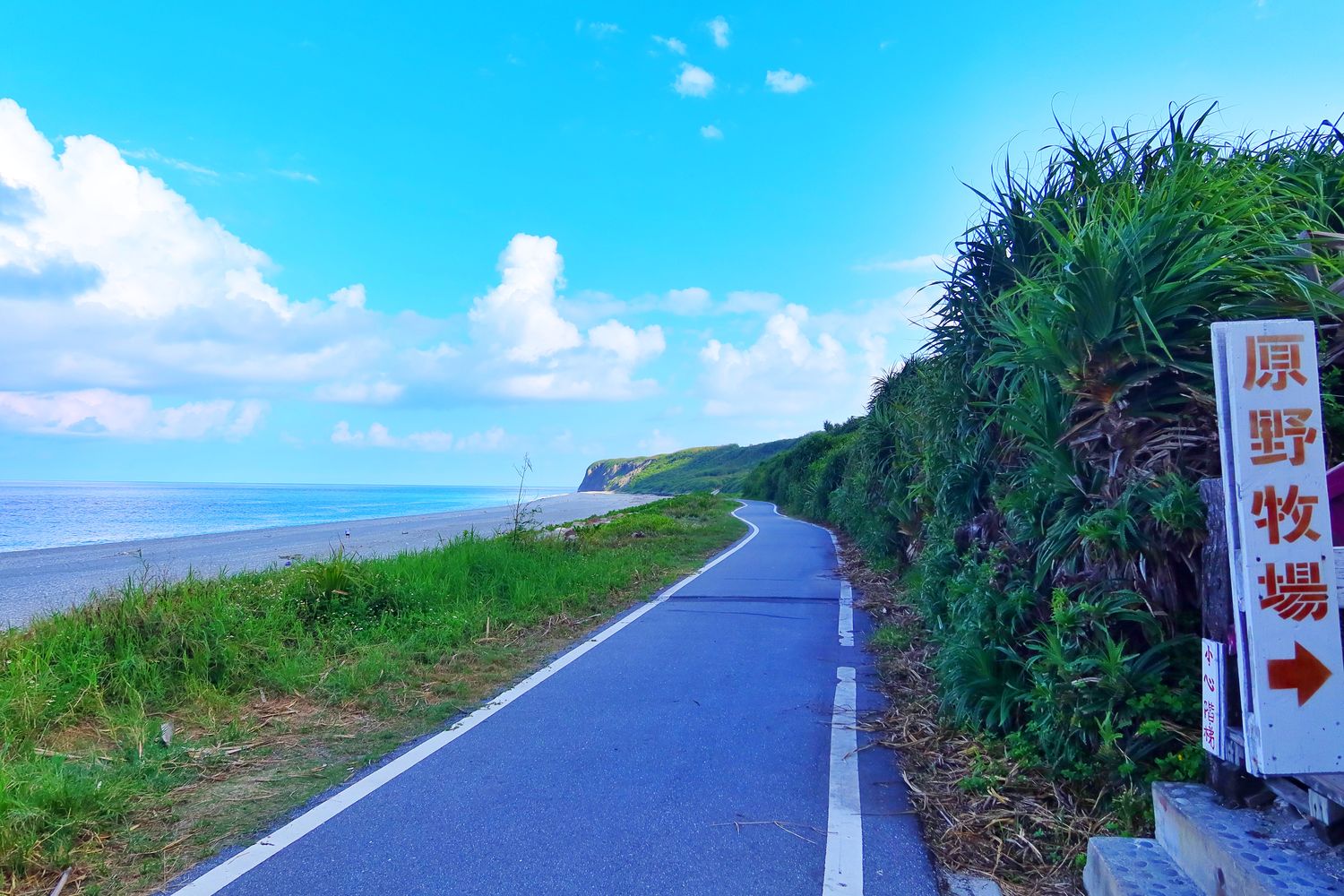 【花蓮原野牧場】在地人激推超夯海景咖啡廳，秘徑小道通往七星潭美景 @混血珊莎的奇幻旅程