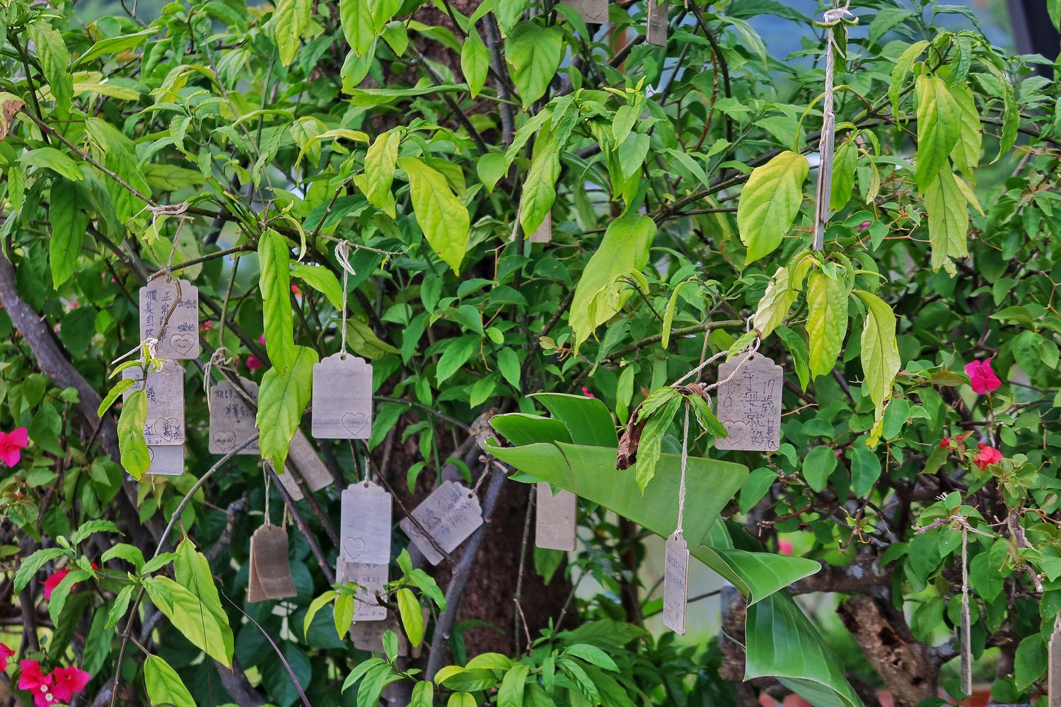 抹茶山下｜絕美山景礁溪咖啡廳，超萌西瓜吐司推薦必點! @混血珊莎的奇幻旅程