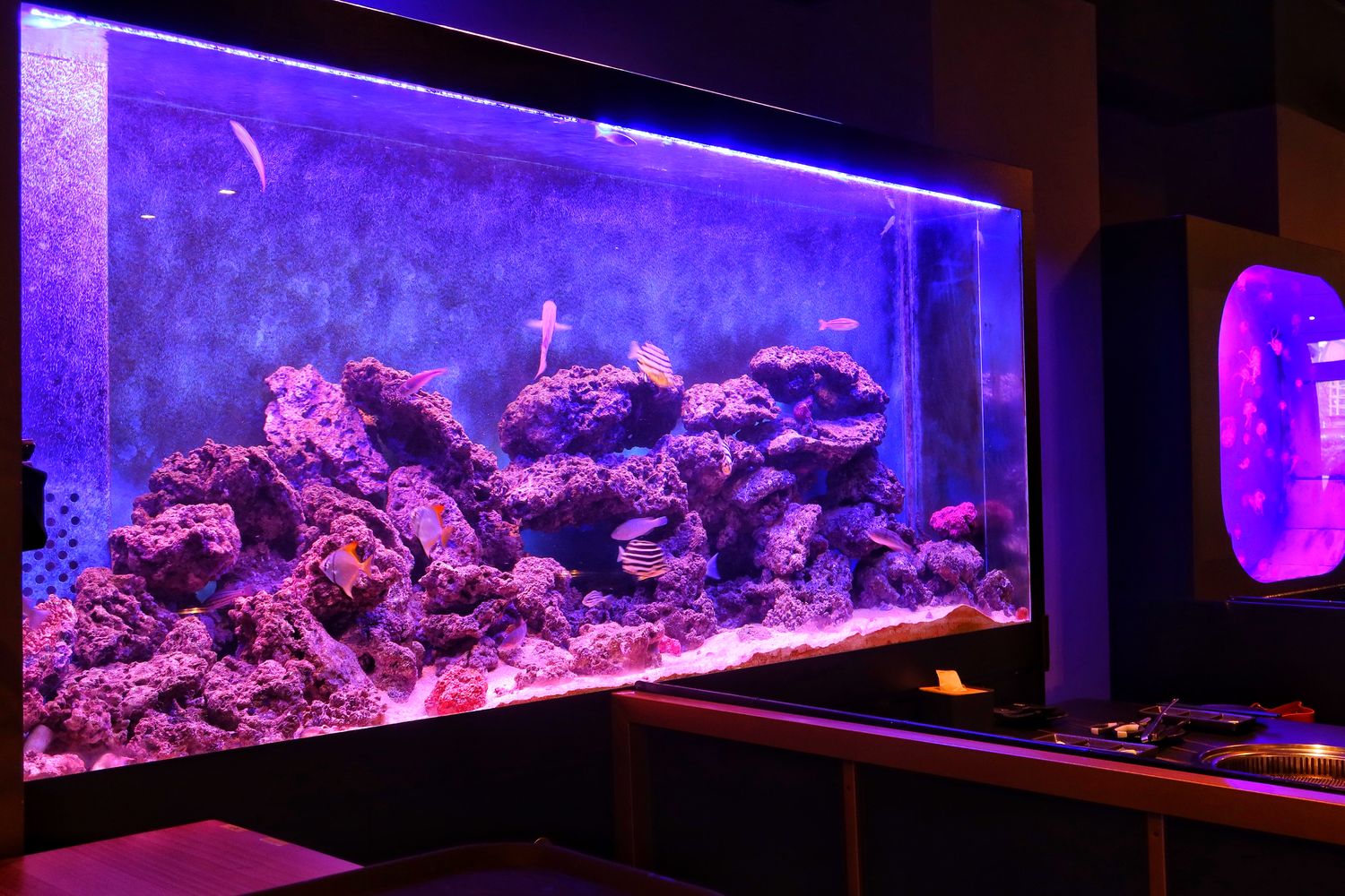 【新竹東區美食】山上走走日式無菜單燒肉專門店，超夢幻水族館餐廳，新竹無菜單料理推薦! @混血珊莎的奇幻旅程