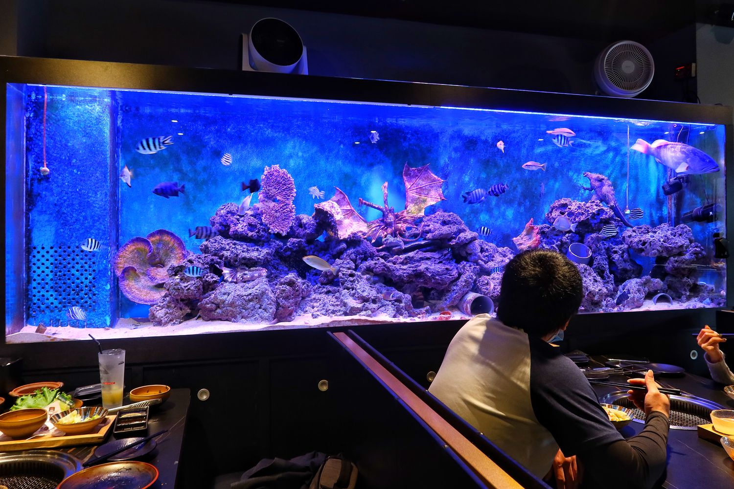 【新竹東區美食】山上走走日式無菜單燒肉專門店，超夢幻水族館餐廳，新竹無菜單料理推薦! @混血珊莎的奇幻旅程