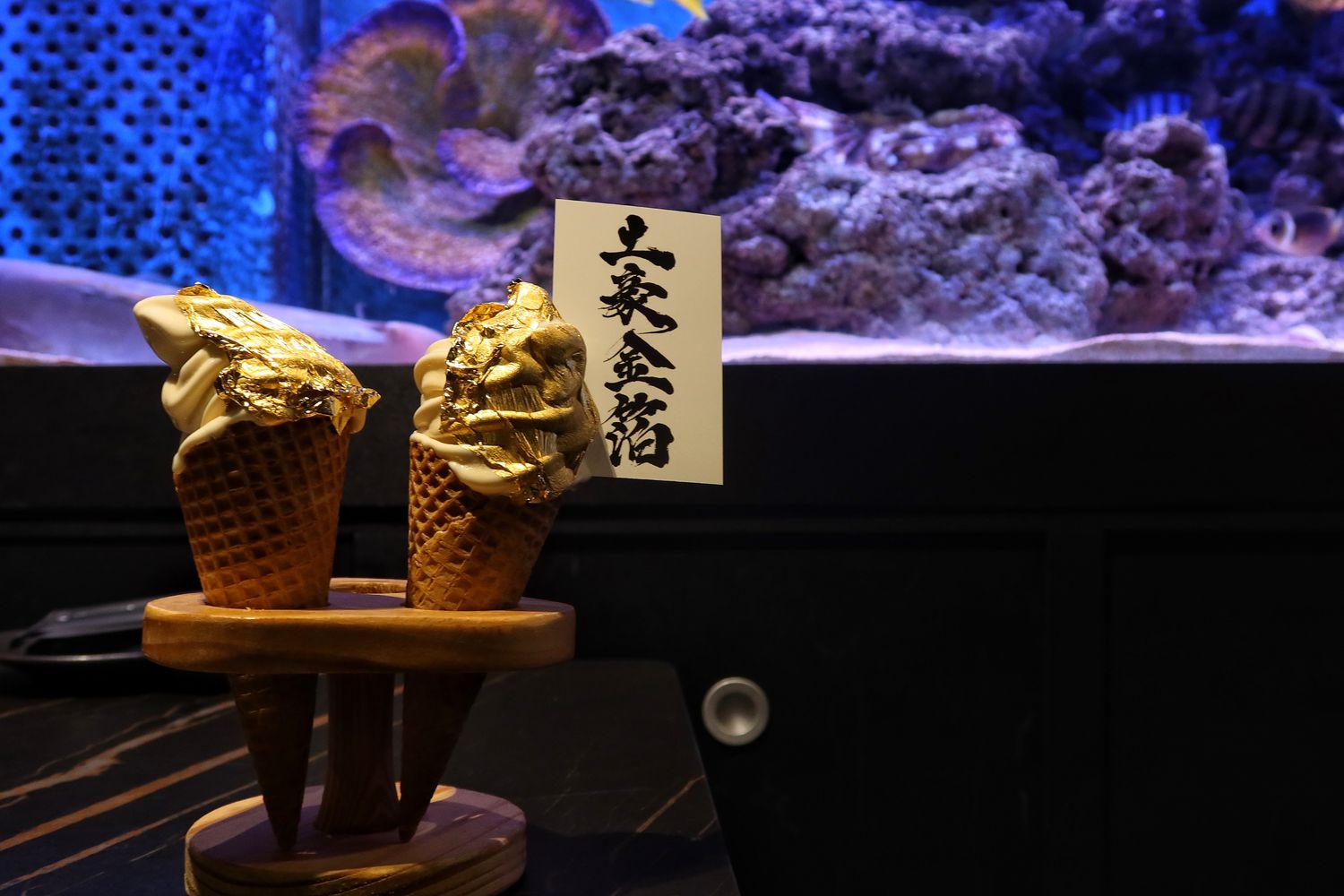 【新竹東區美食】山上走走日式無菜單燒肉專門店，超夢幻水族館餐廳，新竹無菜單料理推薦! @混血珊莎的奇幻旅程