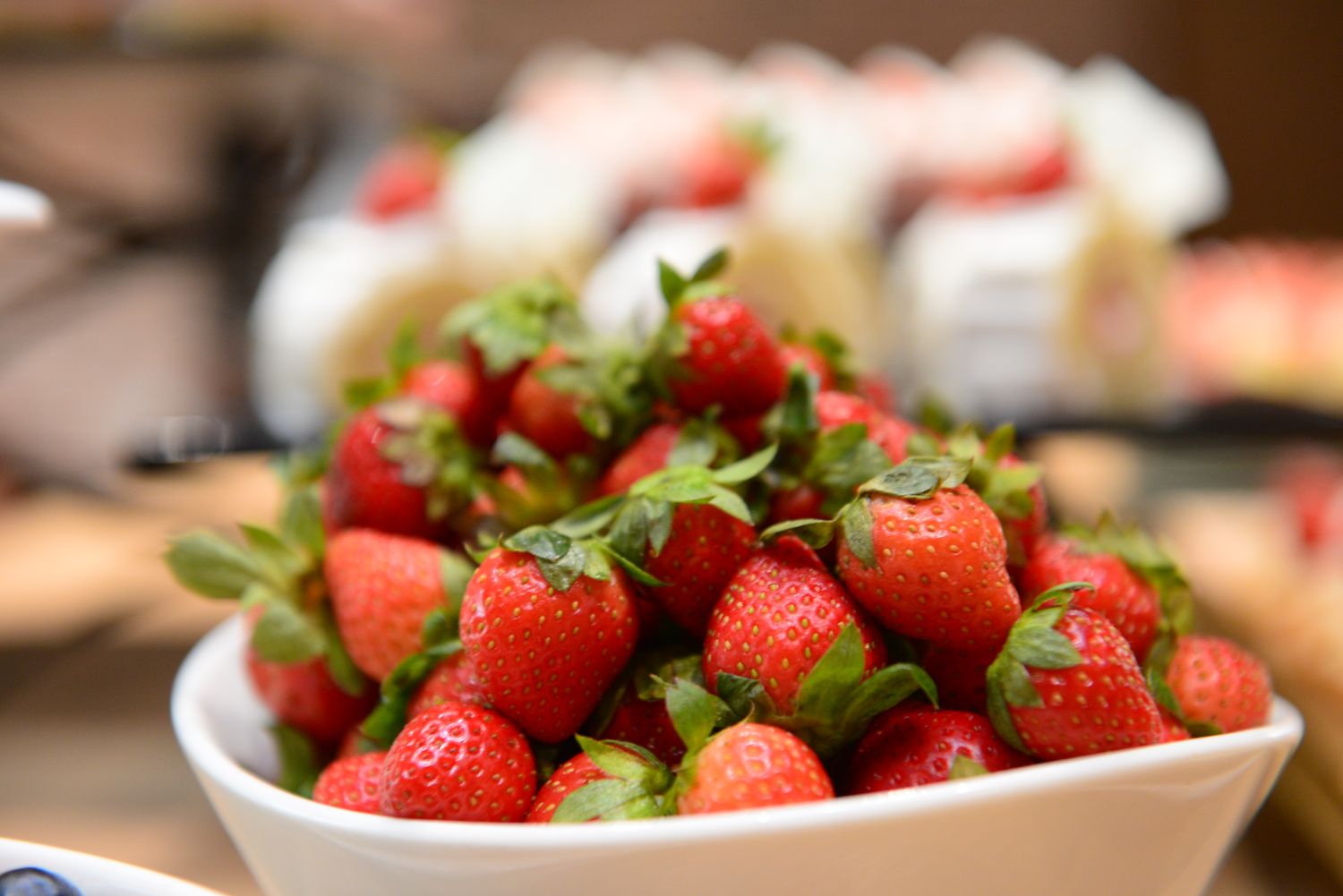 【梧棲飯店】台中震大金鬱金香酒店，質感住宿搭配精緻buffet早餐! @混血珊莎的奇幻旅程