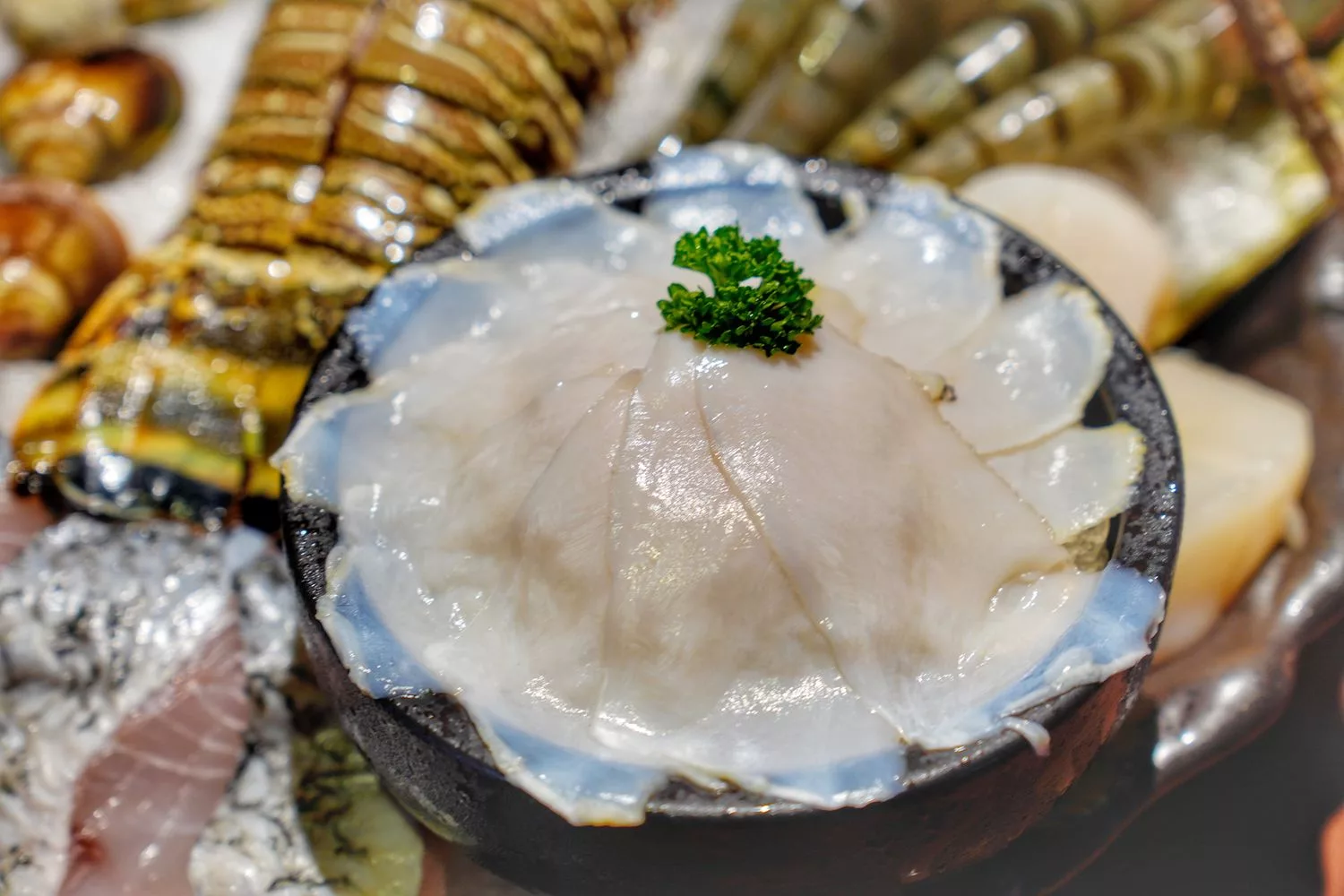 【台中西屯火鍋】臥龍城麻辣火鍋，道地四川老火鍋，雙人海陸饗宴超澎派! @混血珊莎的奇幻旅程