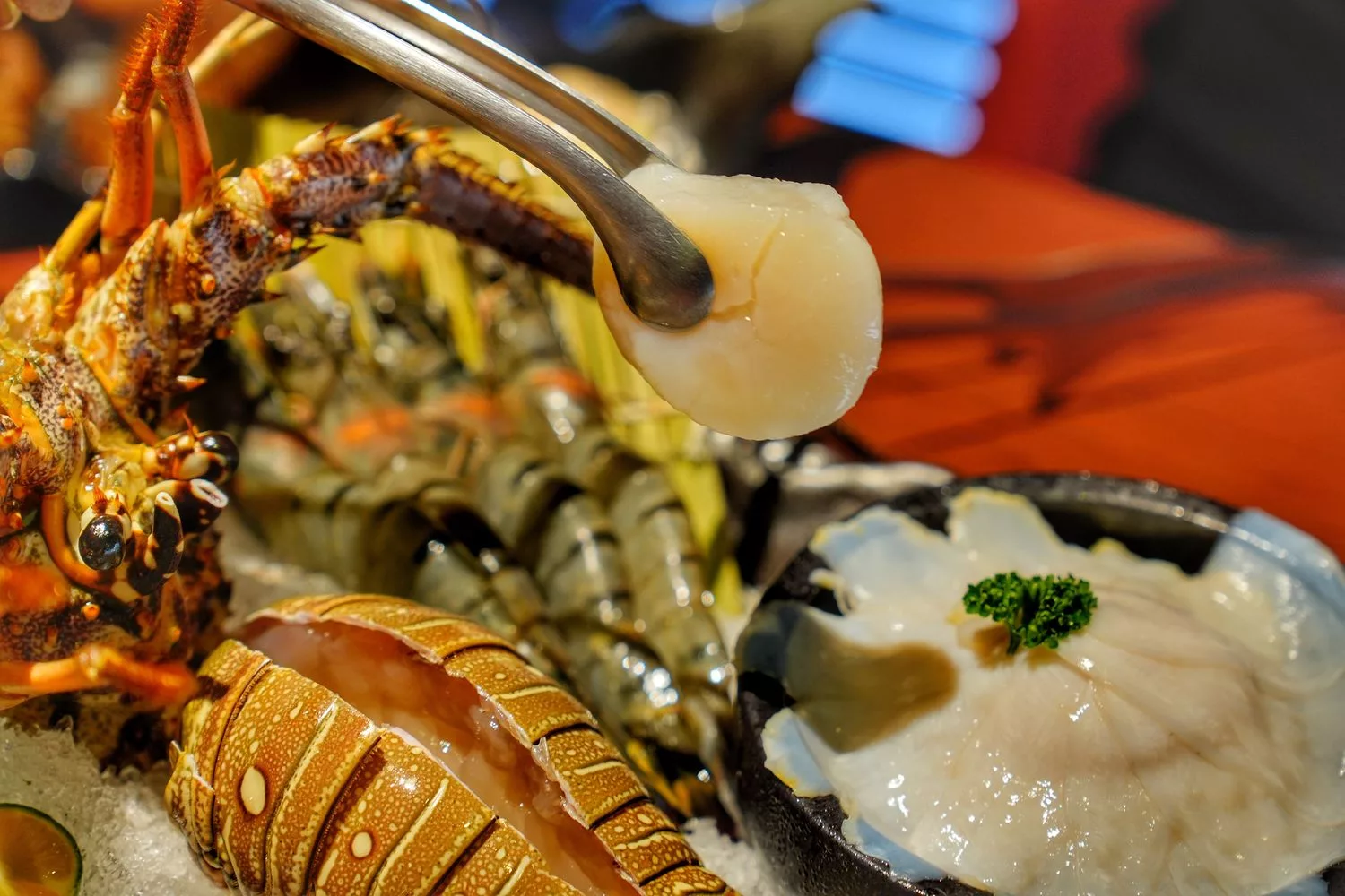 【台中西屯火鍋】臥龍城麻辣火鍋，道地四川老火鍋，雙人海陸饗宴超澎派! @混血珊莎的奇幻旅程