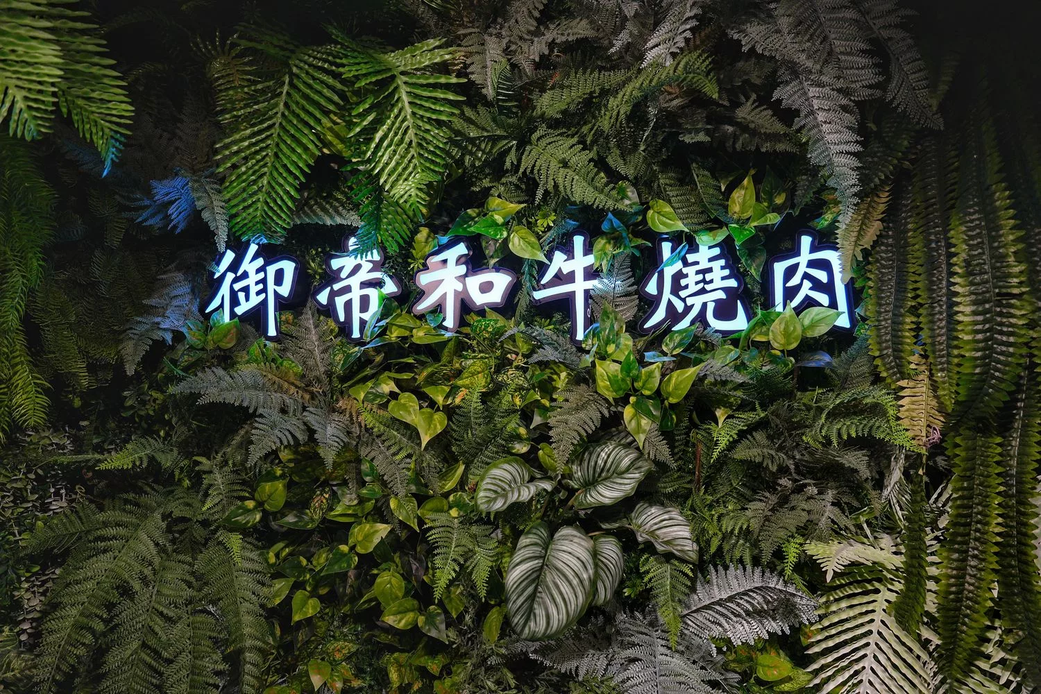 【台中和牛燒肉】御帝和牛燒肉(永久歇業) @混血珊莎的奇幻旅程