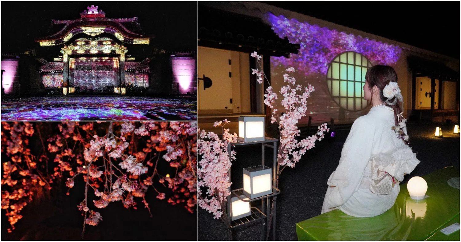 【世界遺産二條城】NAKED meets二条城 櫻花祭 2025光雕秀! @混血珊莎的奇幻旅程