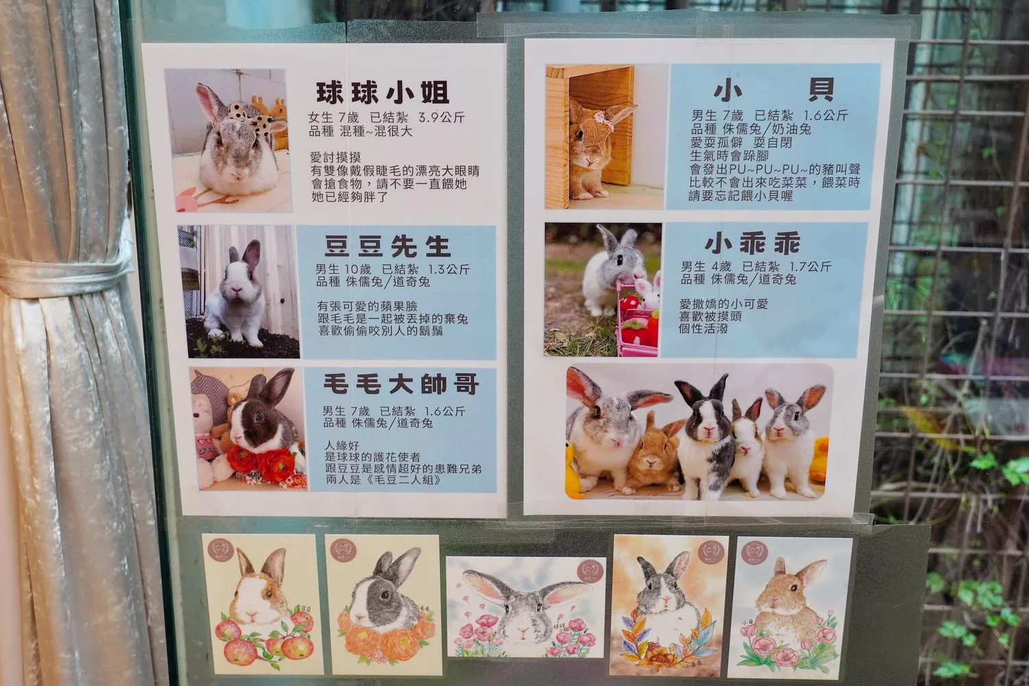 【台中北屯美食】綠萼159地中海南法料理，親子/寵物友善，還有超萌店兔坐鎮! @混血珊莎的奇幻旅程
