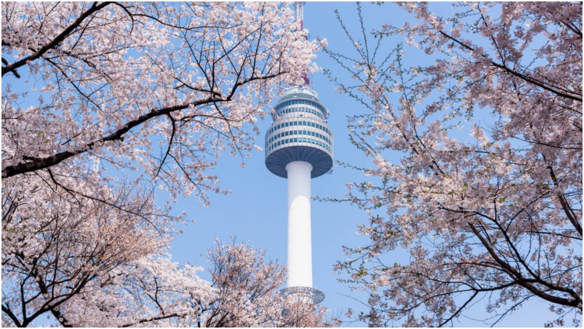 【2024國外旅遊票卷】國外交通、景點、餐廳票券優惠大集合！ @混血珊莎的奇幻旅程
