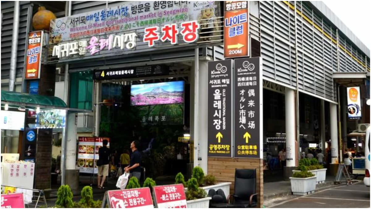 【2025濟州島住宿】精選 18 間韓國濟州島飯店優惠，無敵海景度好享受! @混血珊莎的奇幻旅程