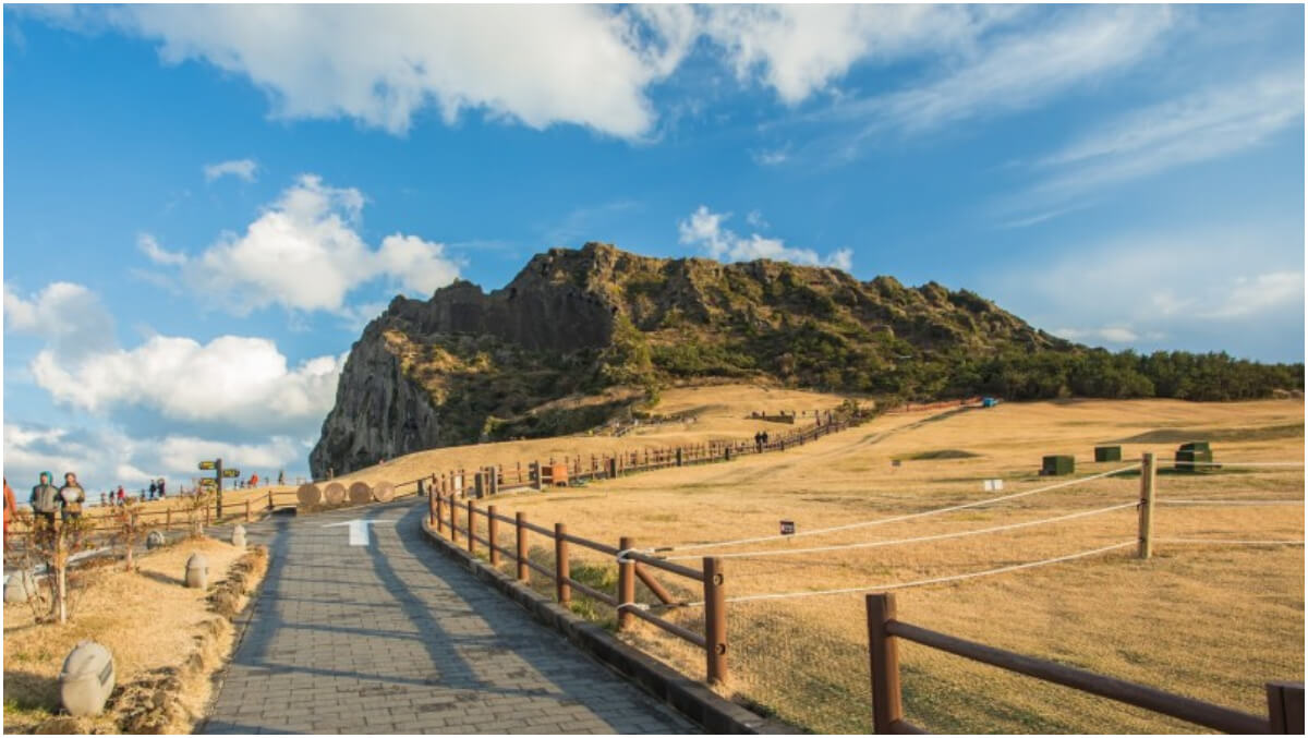 【2025濟州島住宿】精選 18 間韓國濟州島飯店優惠，無敵海景度好享受! @混血珊莎的奇幻旅程