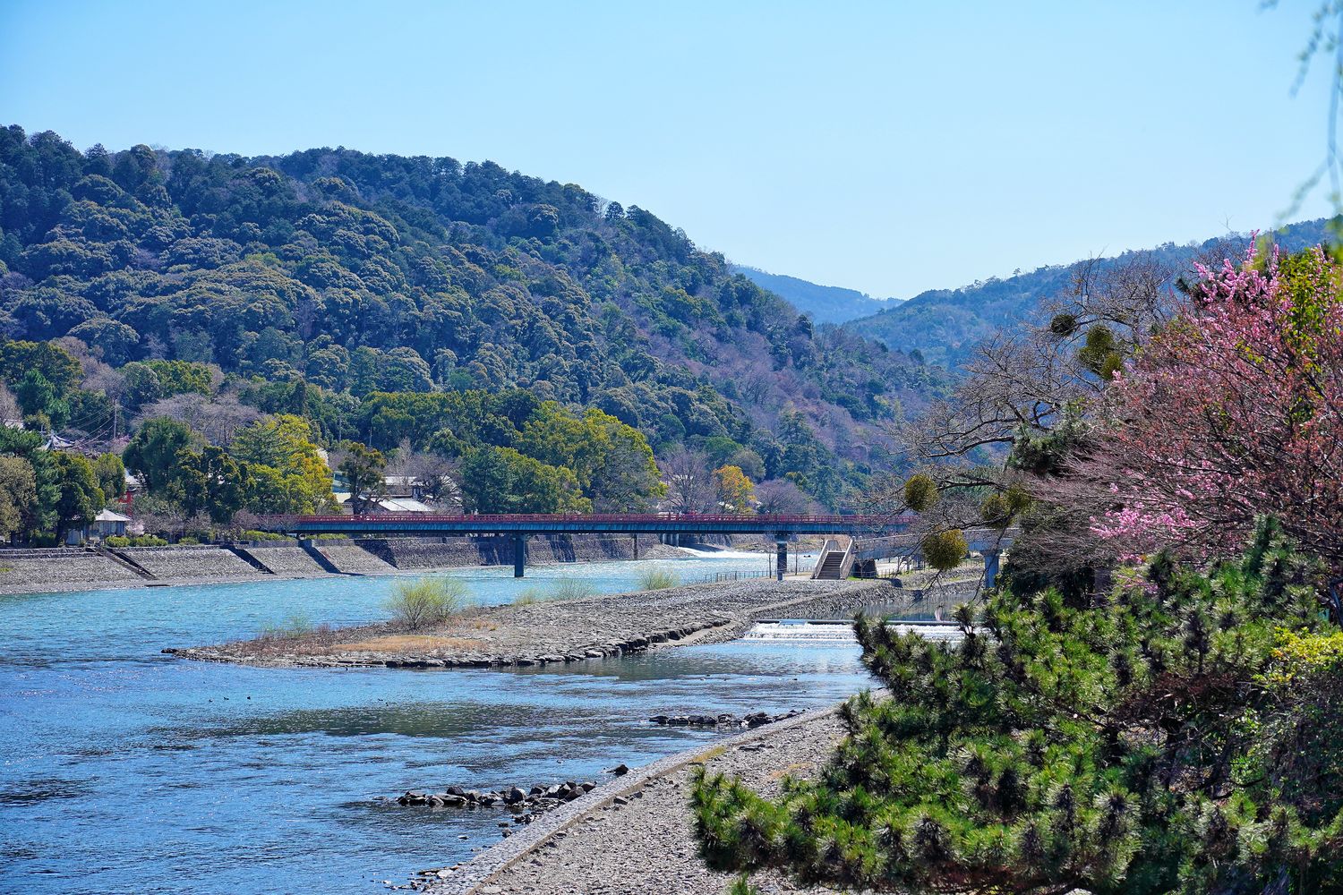 宇治平等院｜此生必訪京都世界遺產鳳凰堂交通/門票參觀重點! @混血珊莎的奇幻旅程