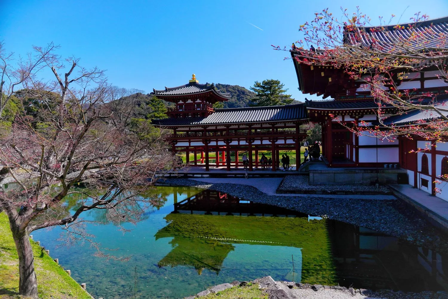 宇治平等院｜此生必訪京都世界遺產鳳凰堂交通/門票參觀重點! @混血珊莎的奇幻旅程