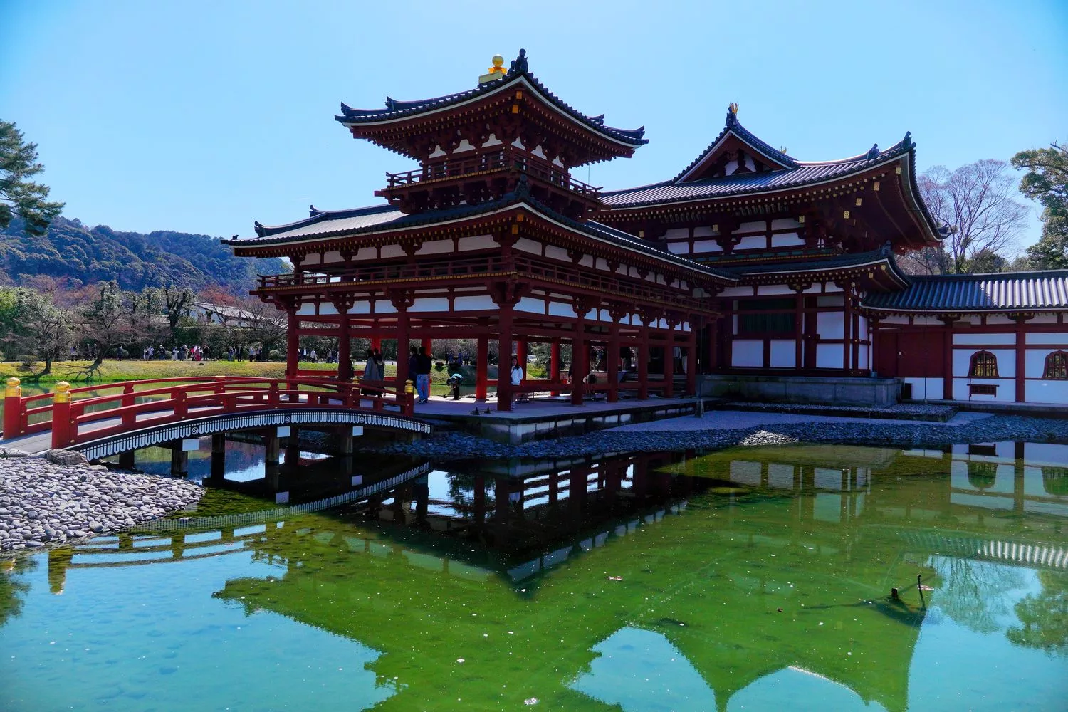 宇治平等院｜此生必訪京都世界遺產鳳凰堂交通/門票參觀重點! @混血珊莎的奇幻旅程