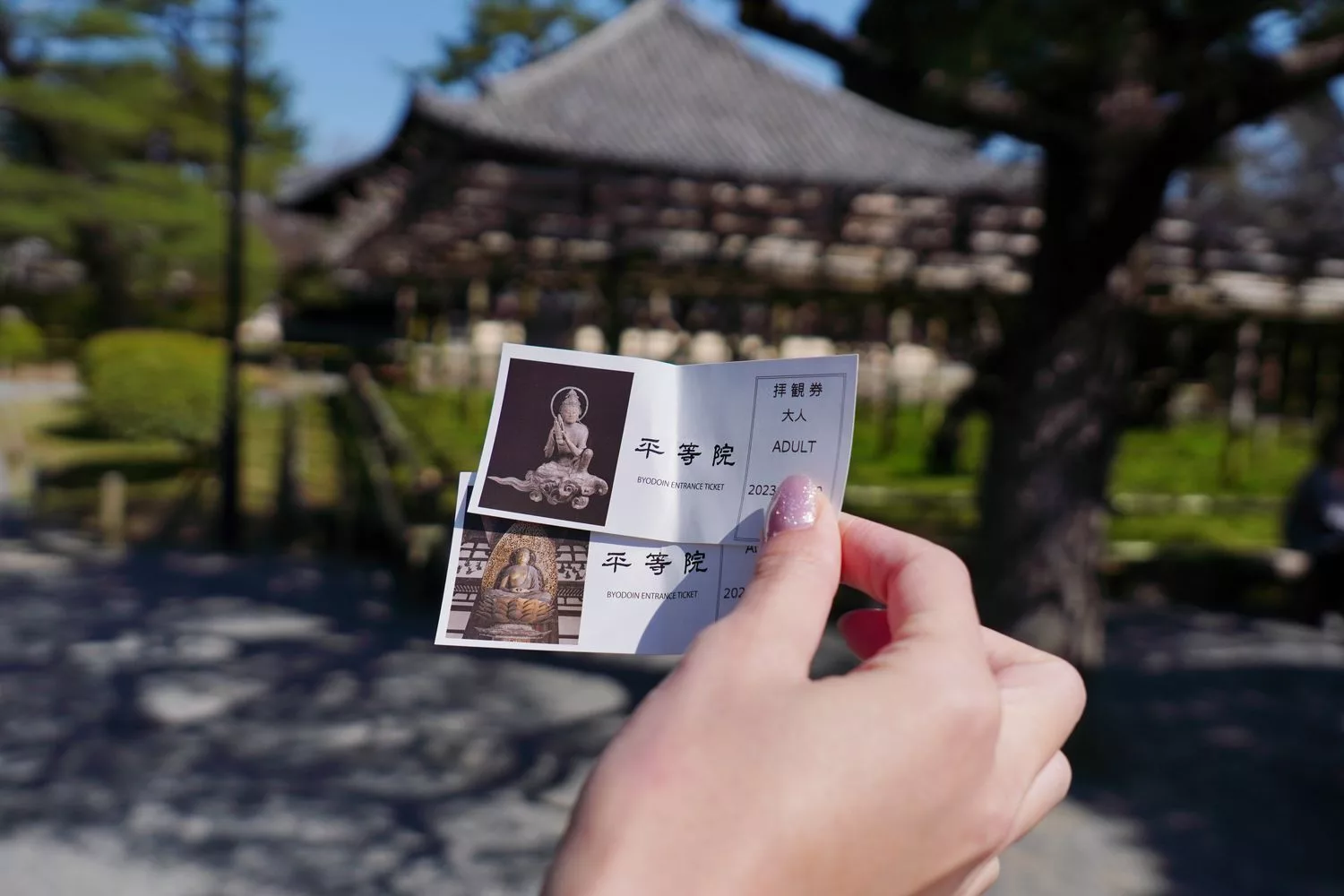 宇治平等院｜此生必訪京都世界遺產鳳凰堂交通/門票參觀重點! @混血珊莎的奇幻旅程