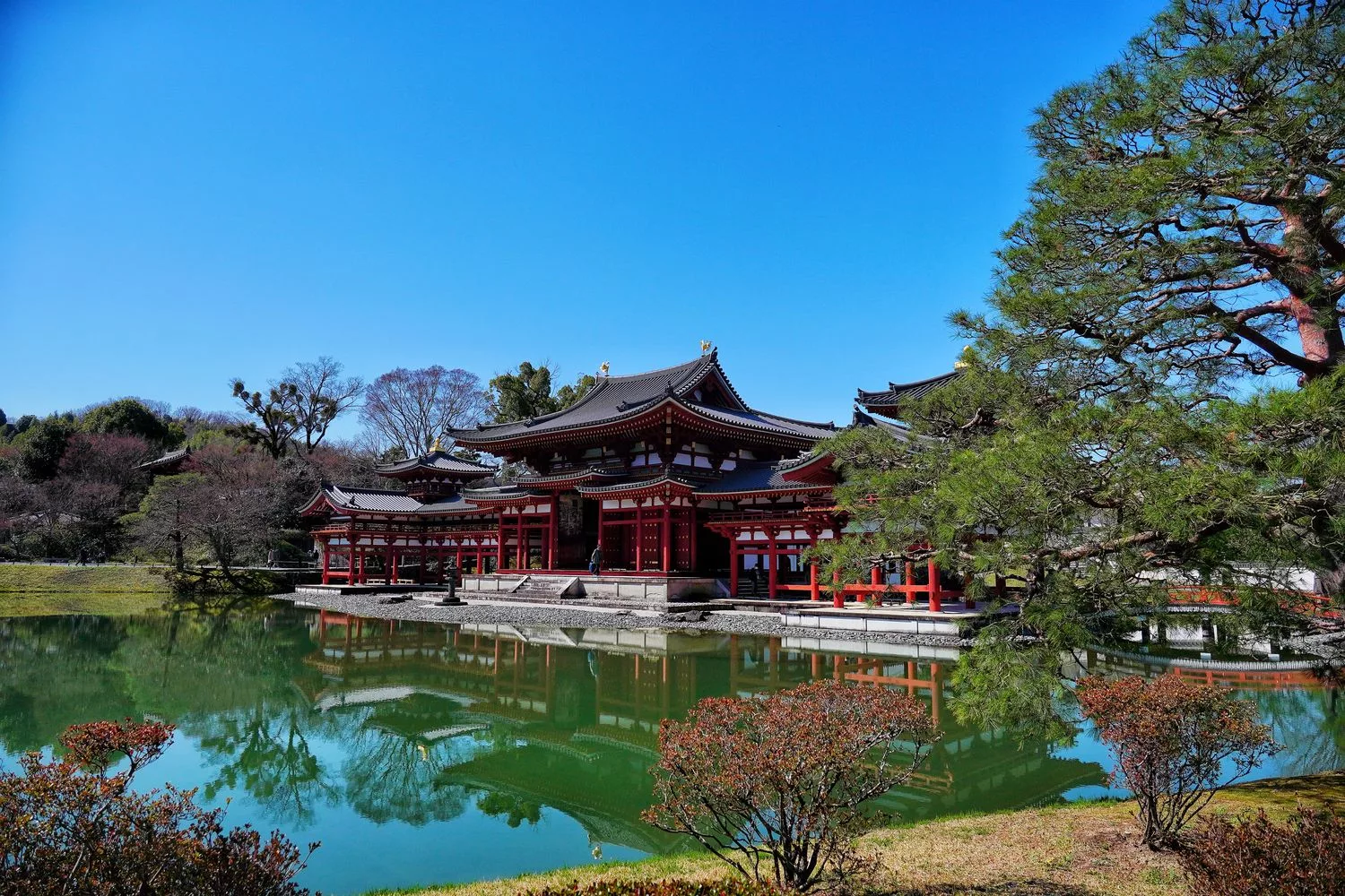 宇治平等院｜此生必訪京都世界遺產鳳凰堂交通/門票參觀重點! @混血珊莎的奇幻旅程