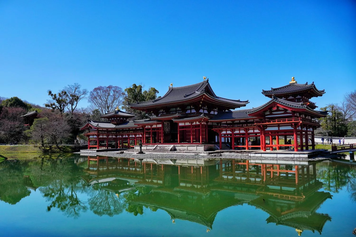 宇治平等院｜此生必訪京都世界遺產鳳凰堂交通/門票參觀重點! @混血珊莎的奇幻旅程