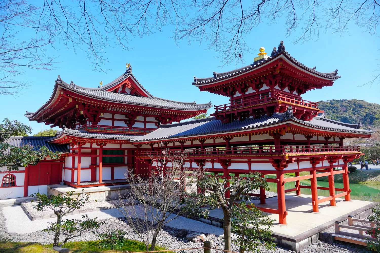 宇治平等院｜此生必訪京都世界遺產鳳凰堂交通/門票參觀重點! @混血珊莎的奇幻旅程